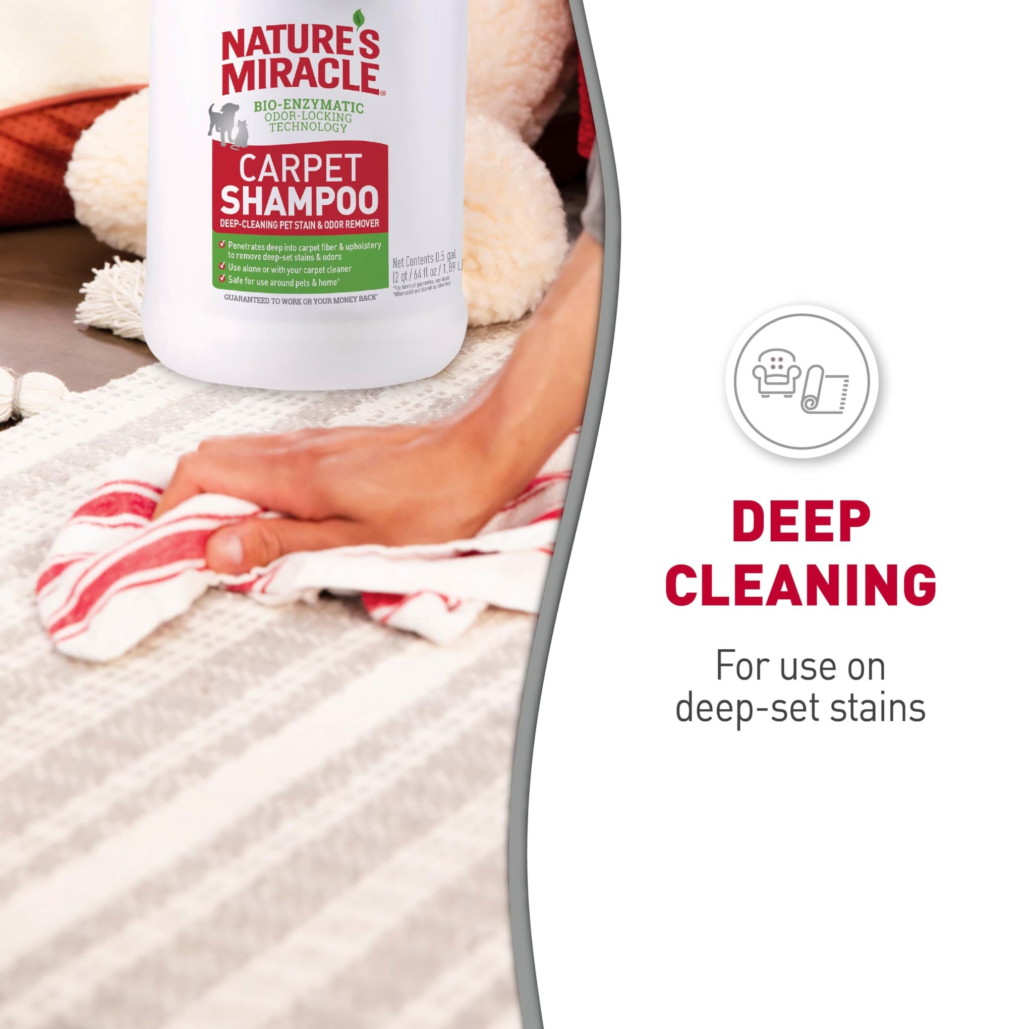 Carpet Shampoo Pet Stain & Odor Remover (64 Ounce) - ModHome Supplies