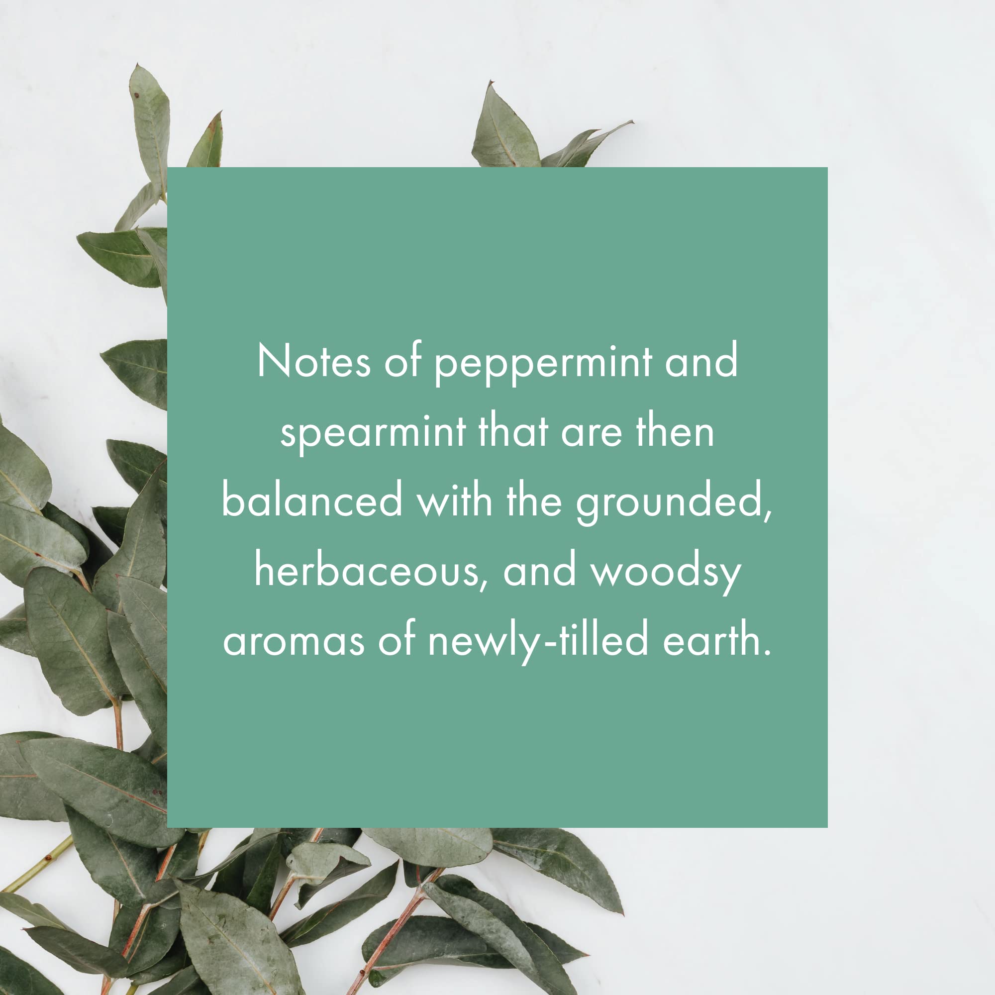 Whisper Essential Monthly Plug
