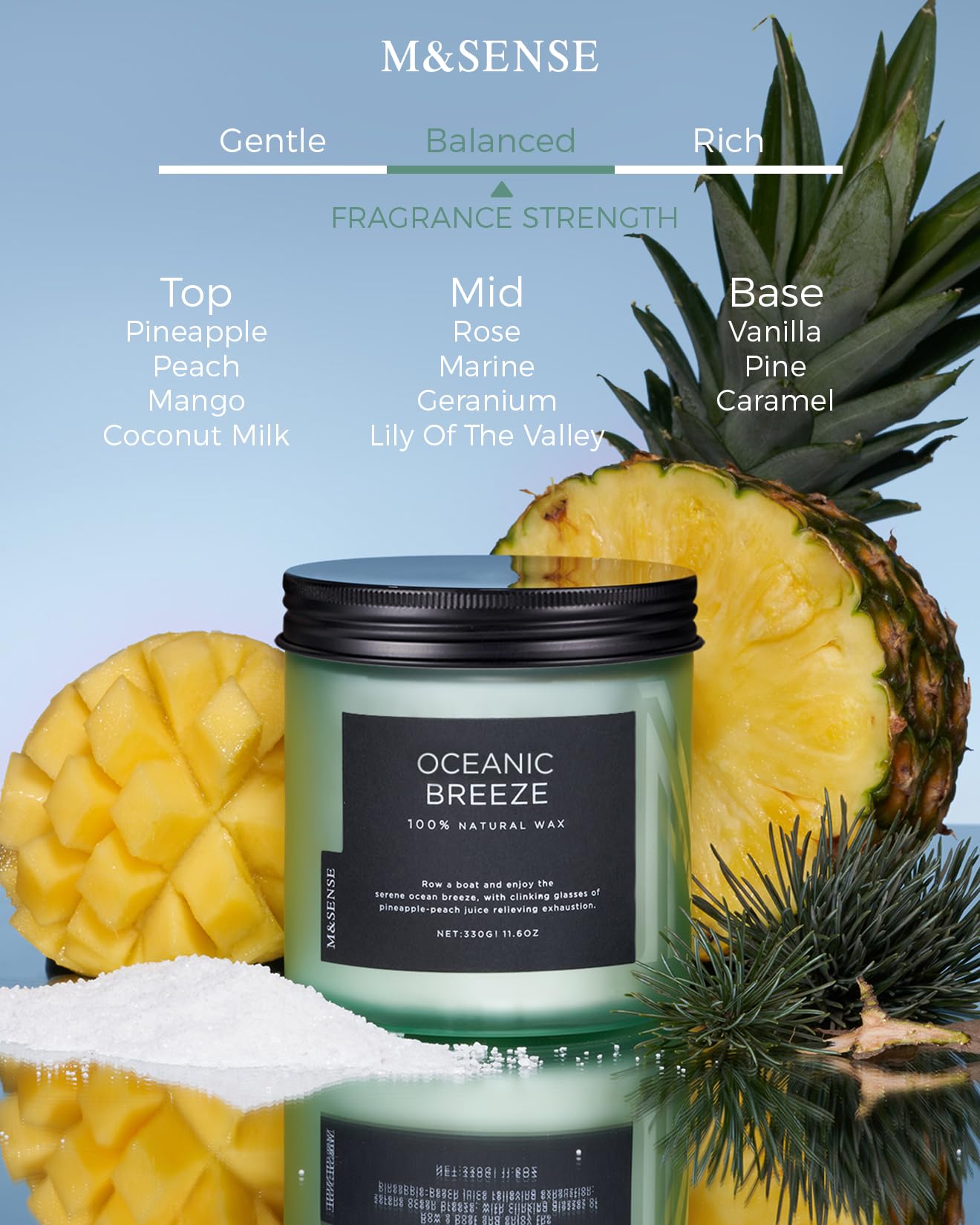 Oceanic Breeze Scented Candles for Home (11.6 Ounce)