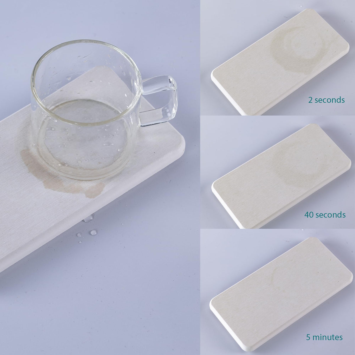 Set of 4 Water Absorbent Diatomite Coasters (4 Count)