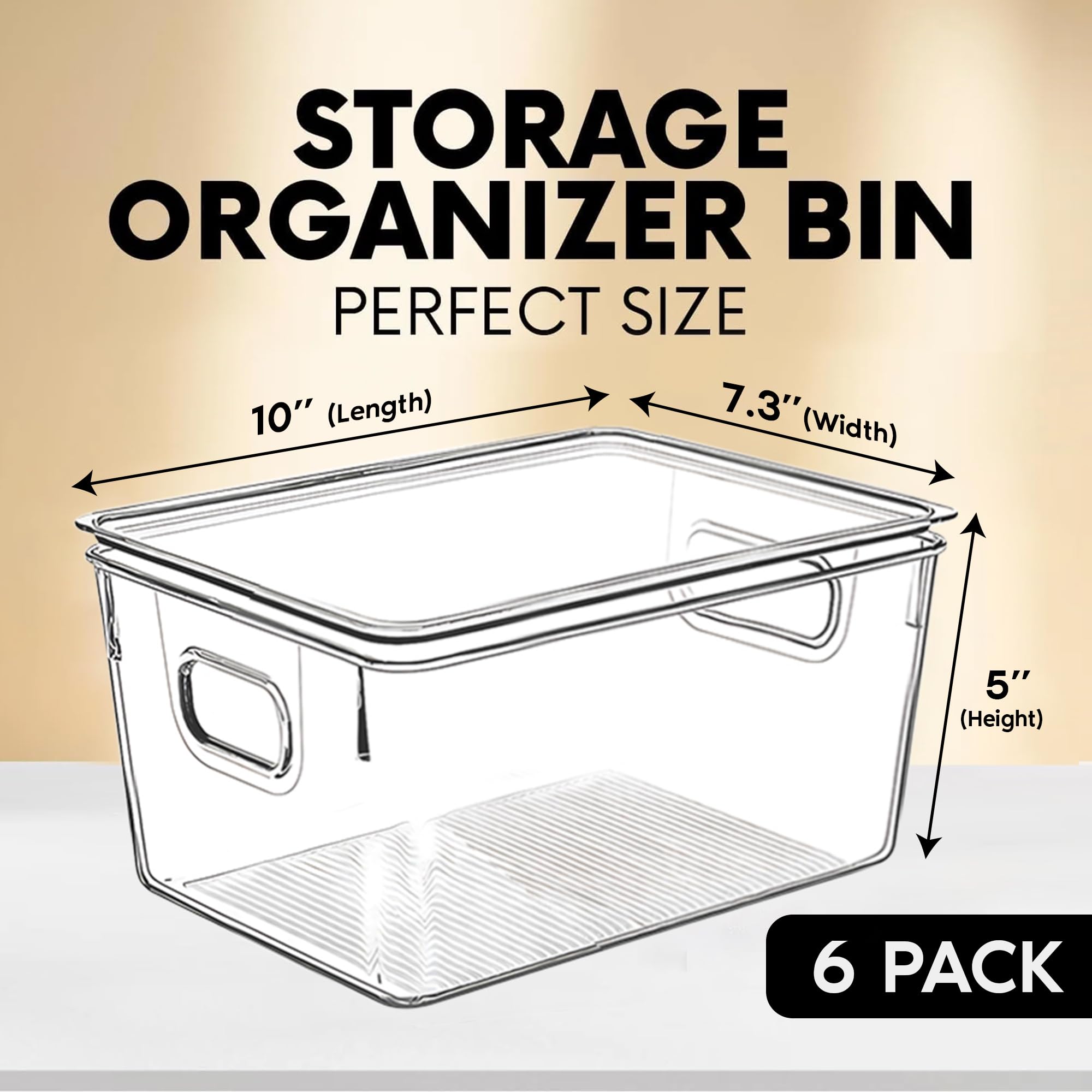 Clear Plastic Storage Bins with Lids (6 Count)
