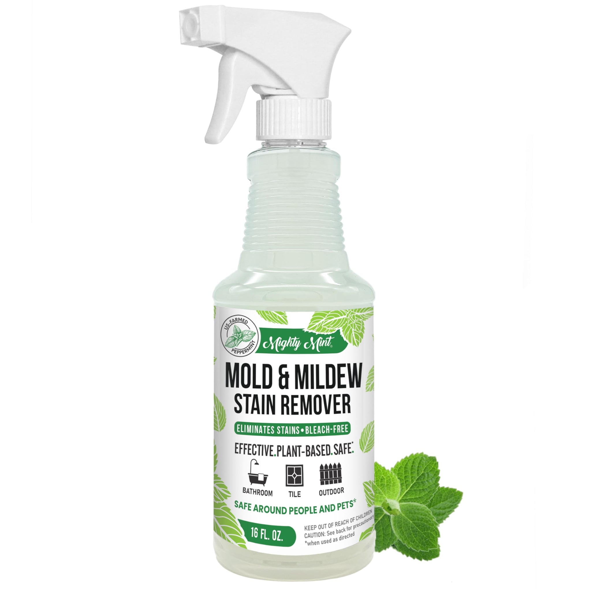 Mold & Mildew Stain Remover Spray (16 Fl Oz) - ModHome Supplies