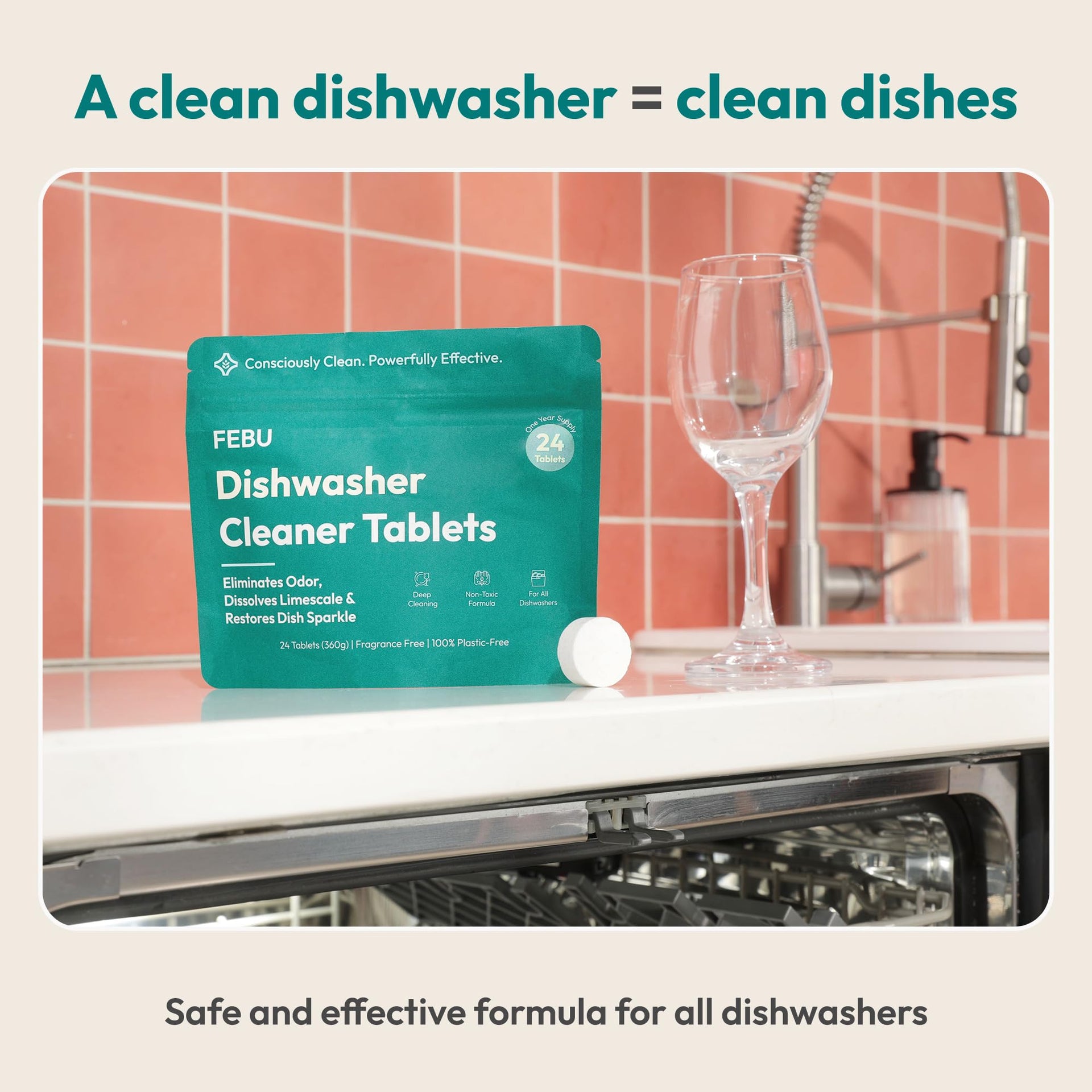 Dishwasher Cleaner Tablets (24 Count)