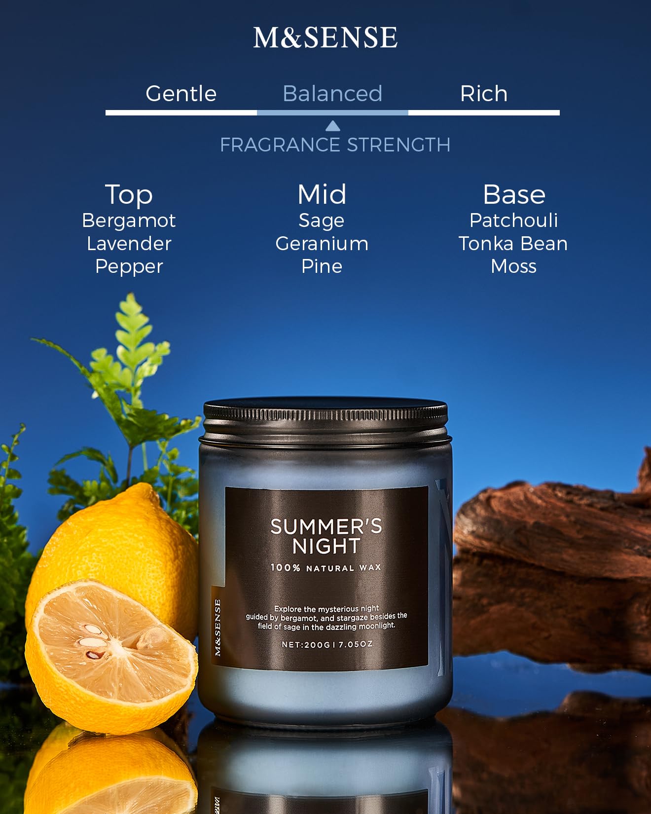 Summer's Night Scented Candles for Home (6 Ounce)