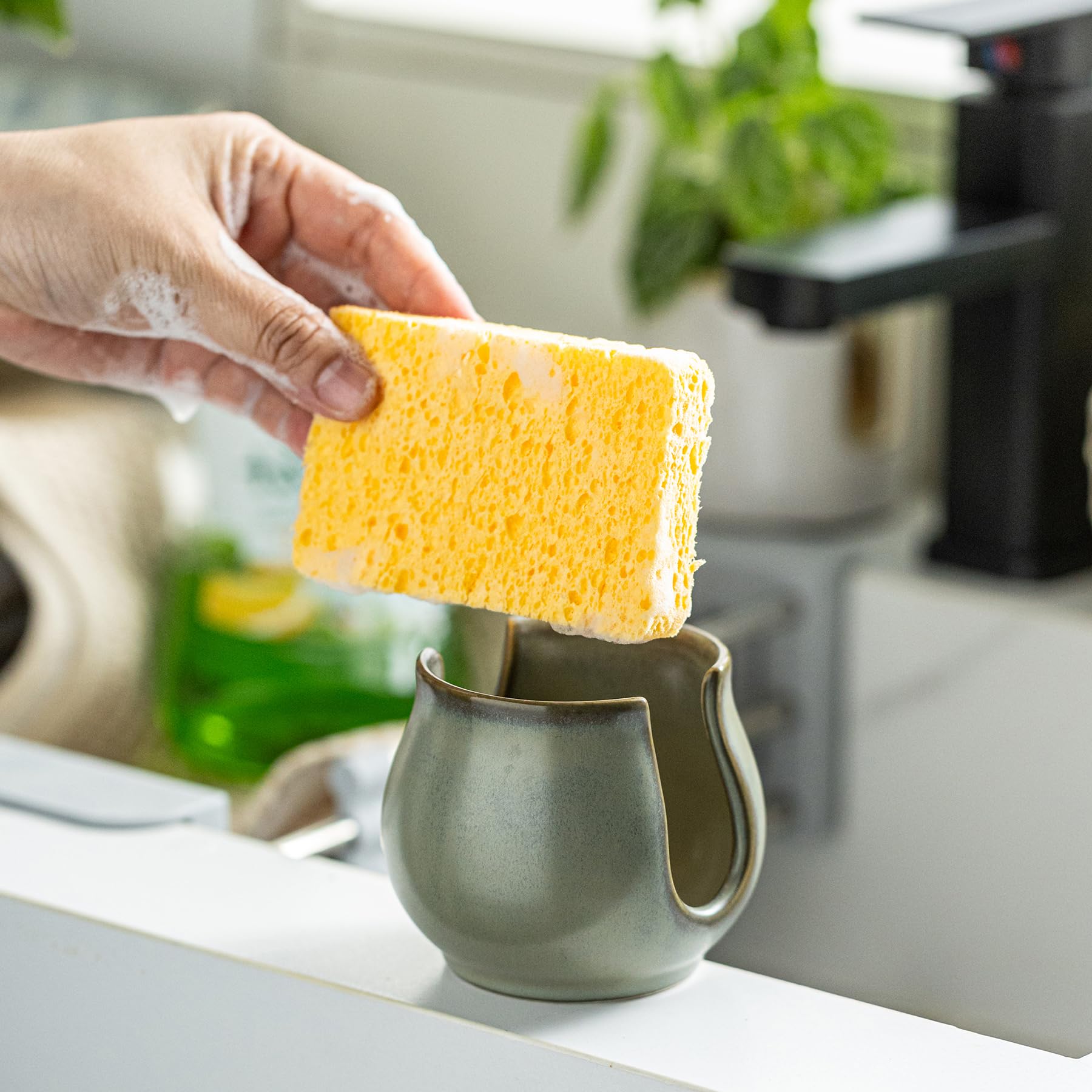 Sponge Holder for Kitchen Sink