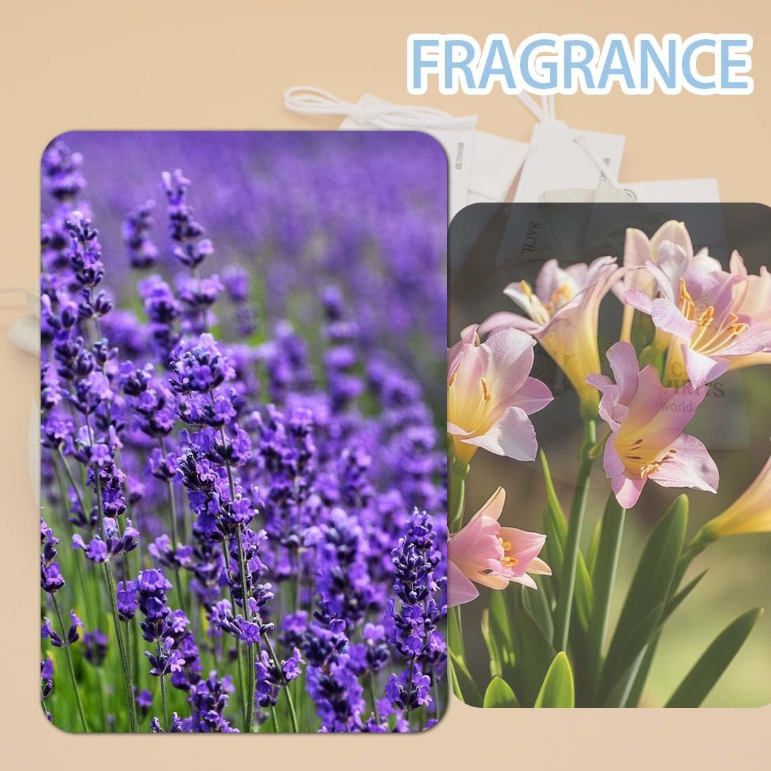 6 Pack Fresh Scented Sachet Packet (6 Count)