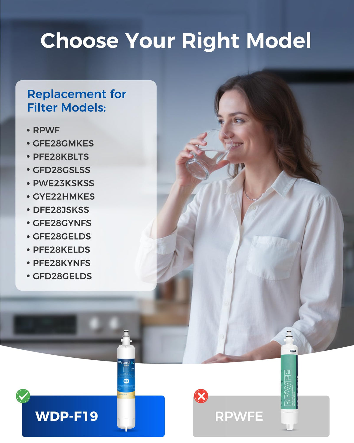Plus WD F19 Water Filter Replacement for GE® RPWF (2 Count)