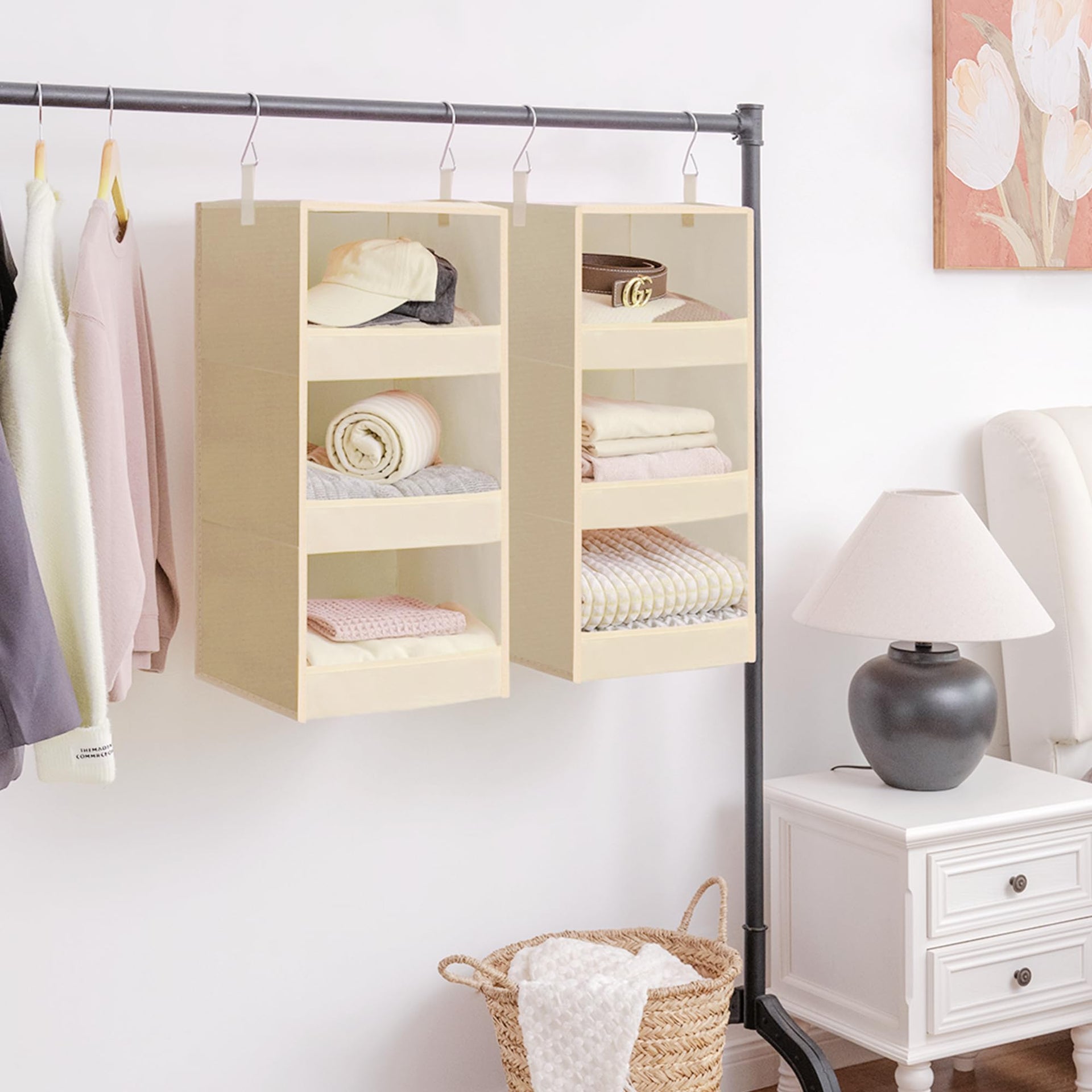 3 Shelf Hanging Closet Organizer (2 Count)