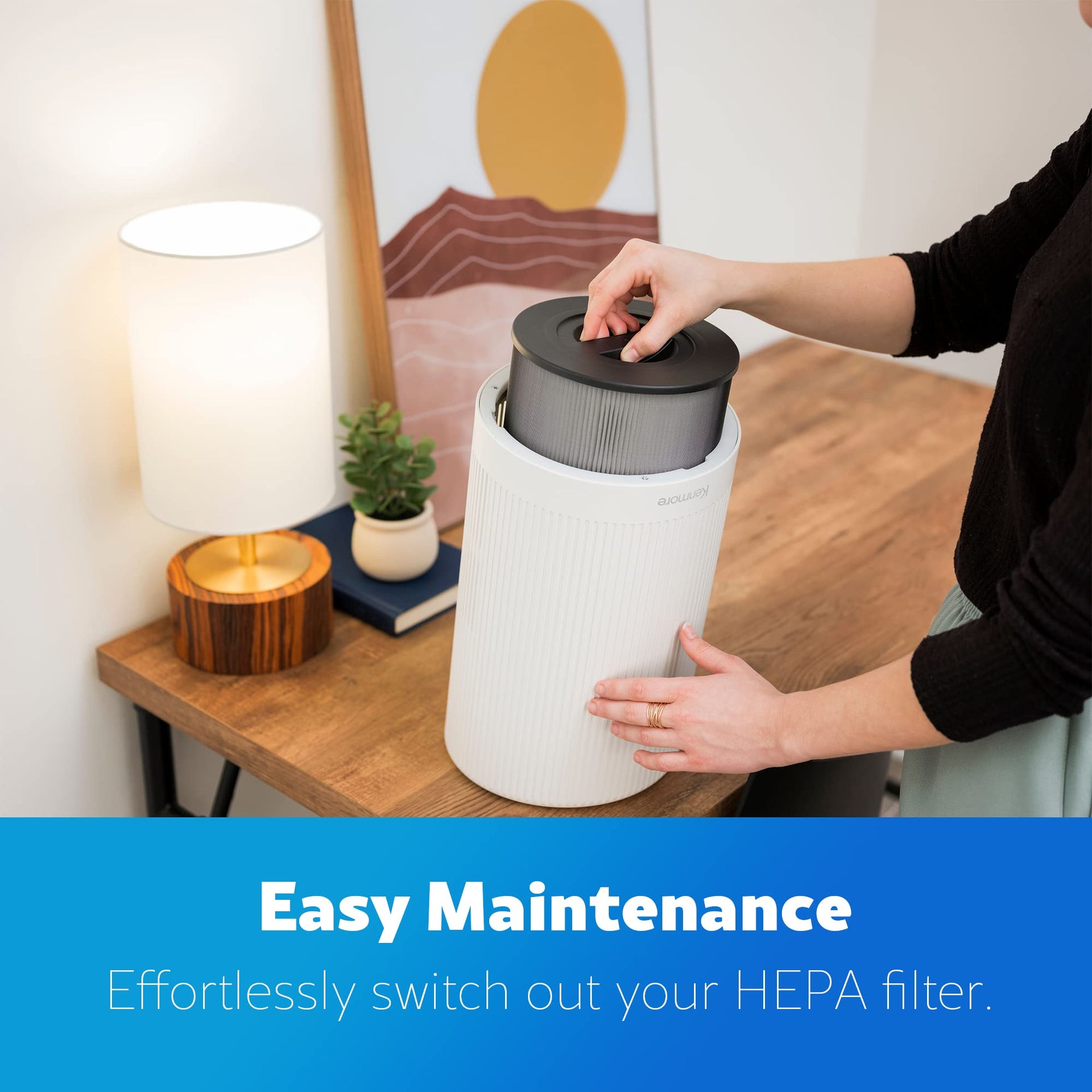 Air Purifier with H13 True HEPA Filter