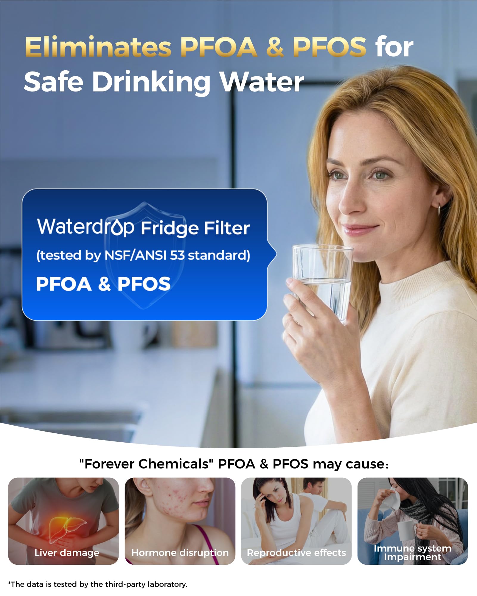 Plus WD F19 Water Filter Replacement for GE® RPWF (2 Count)