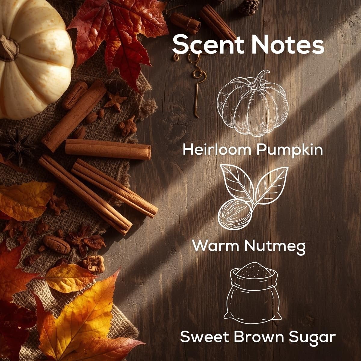 Sweet & Spicy Cinnamon Nutmeg Plug in Air Freshener (2.04 Fl Oz)