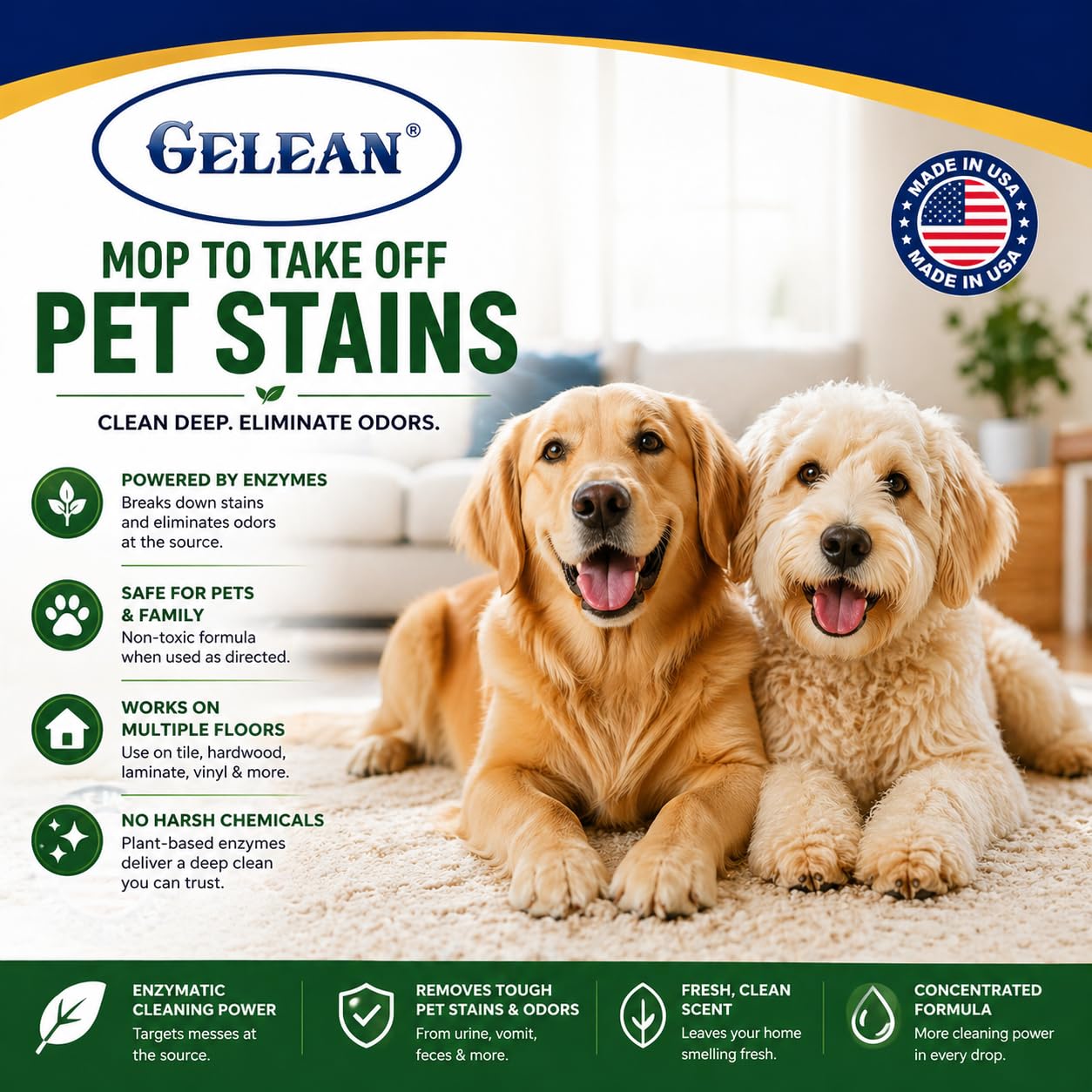 Strong Stain & Odor Eliminator (128 Fl Oz)