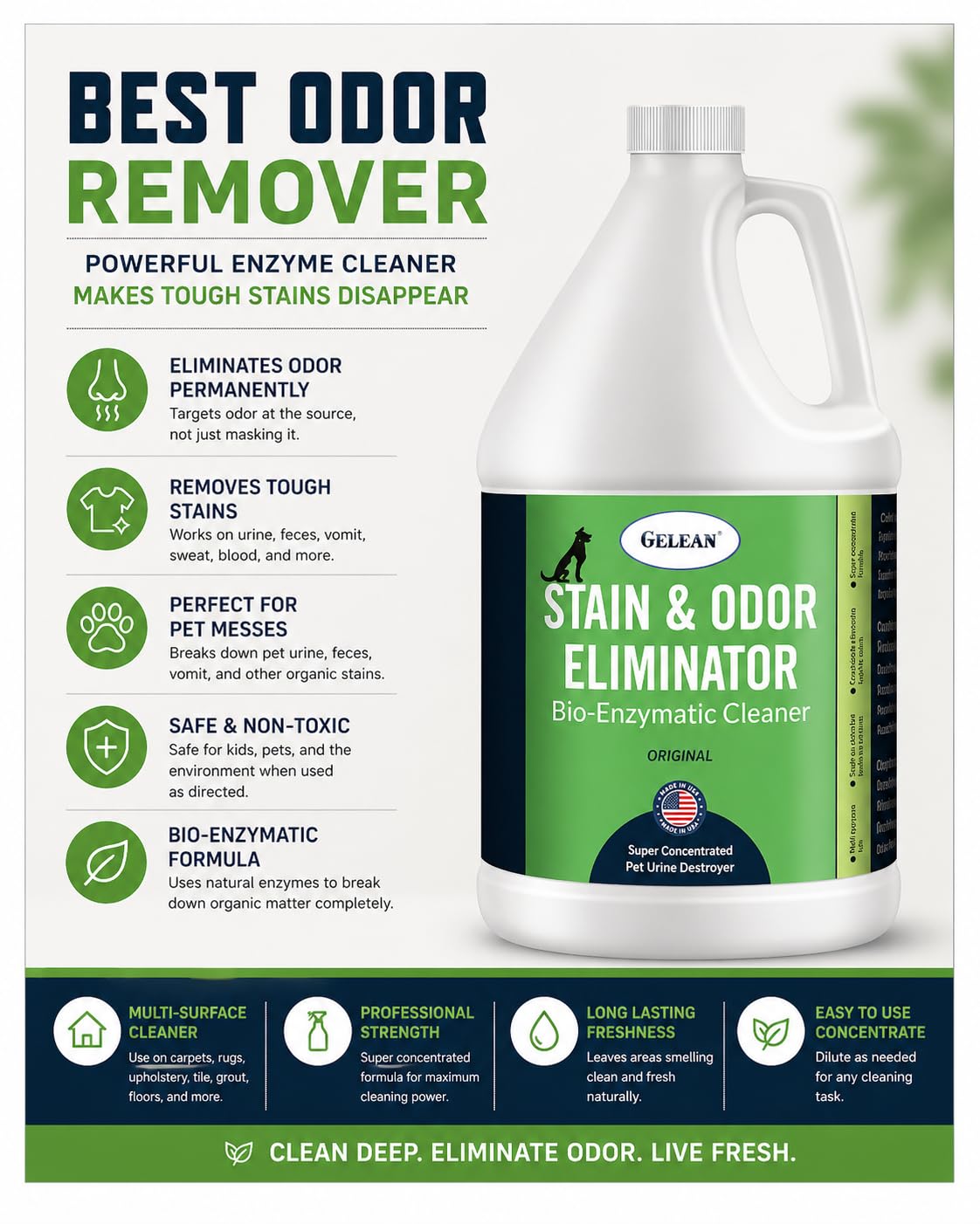Strong Stain & Odor Eliminator (128 Fl Oz)