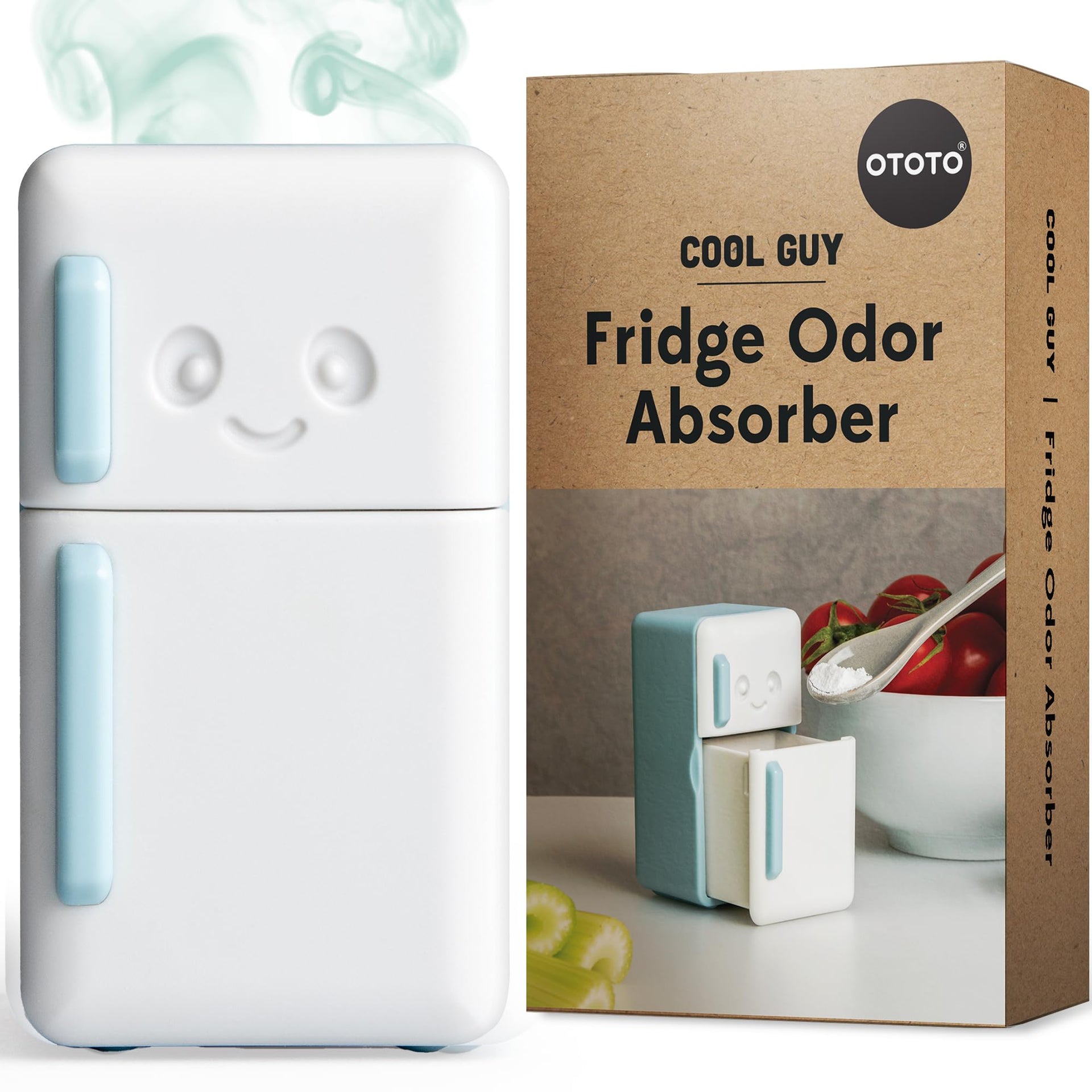Fridge Deodorizer
