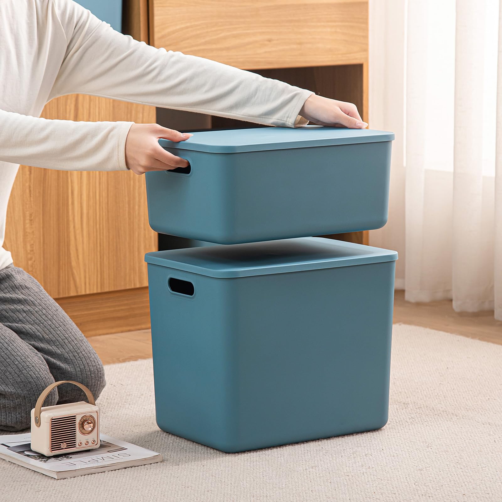 Plastic Storage Bins with lids (3 Count)
