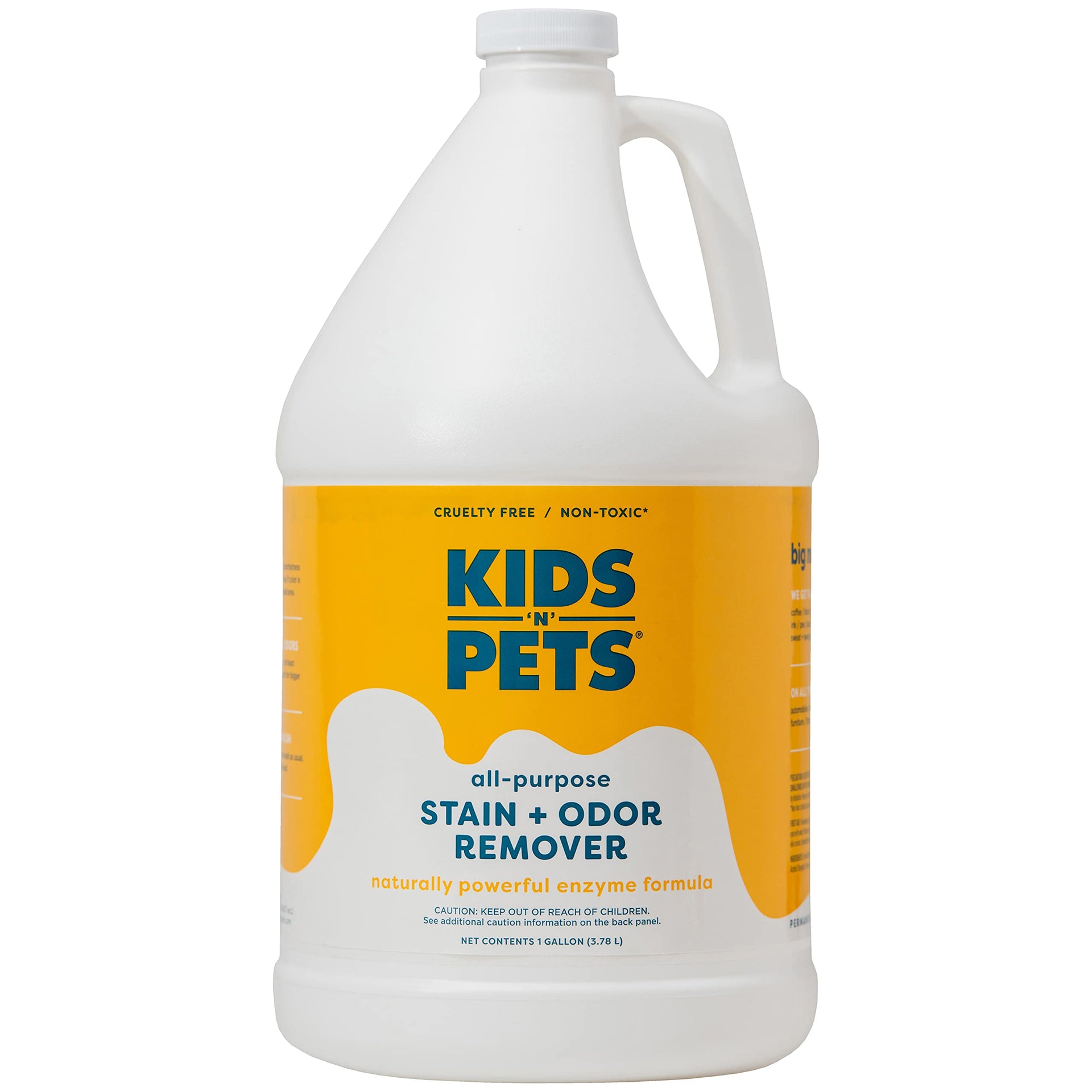 Instant All Purpose Stain & Odor Remover (128 Fl Oz)