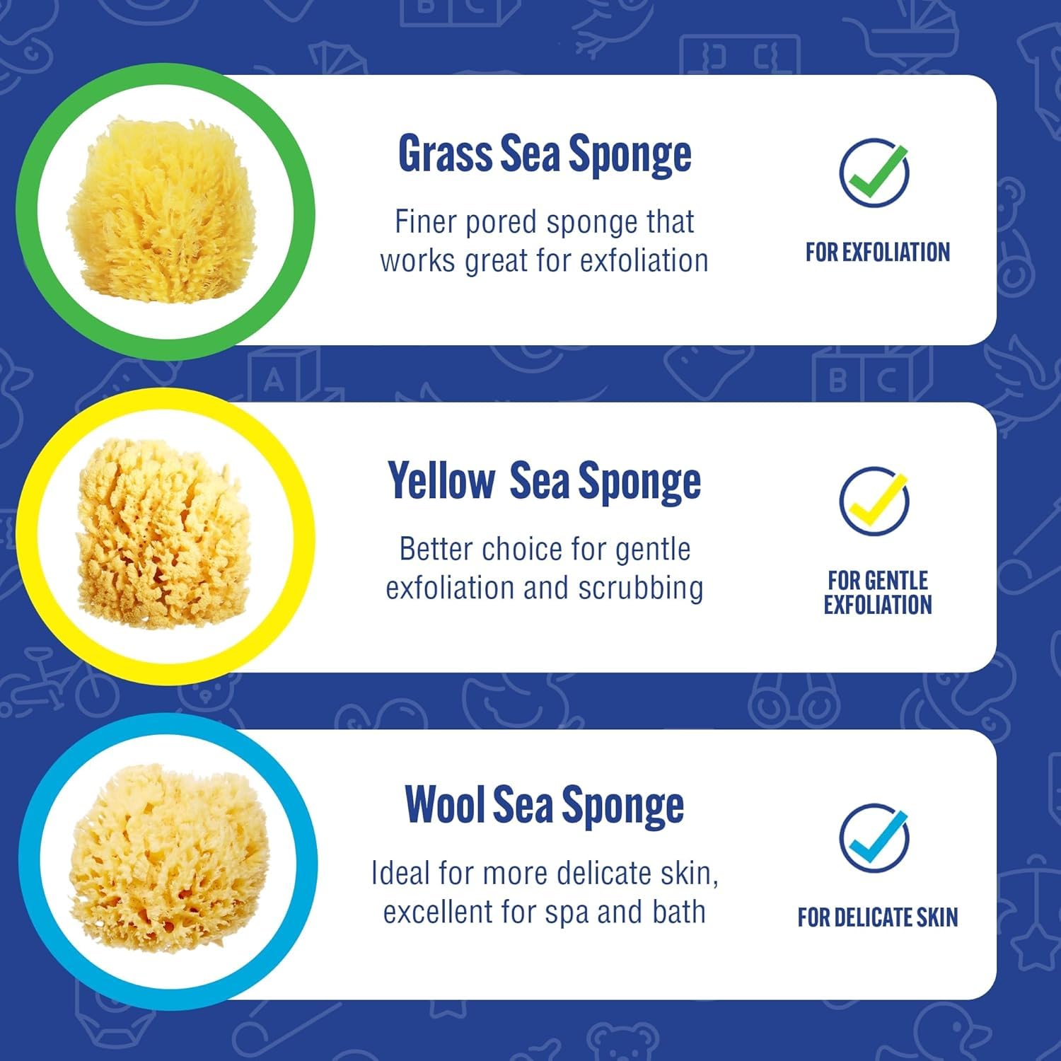 Baby Bath 4in Assorted Sea Sponges (3 Count)