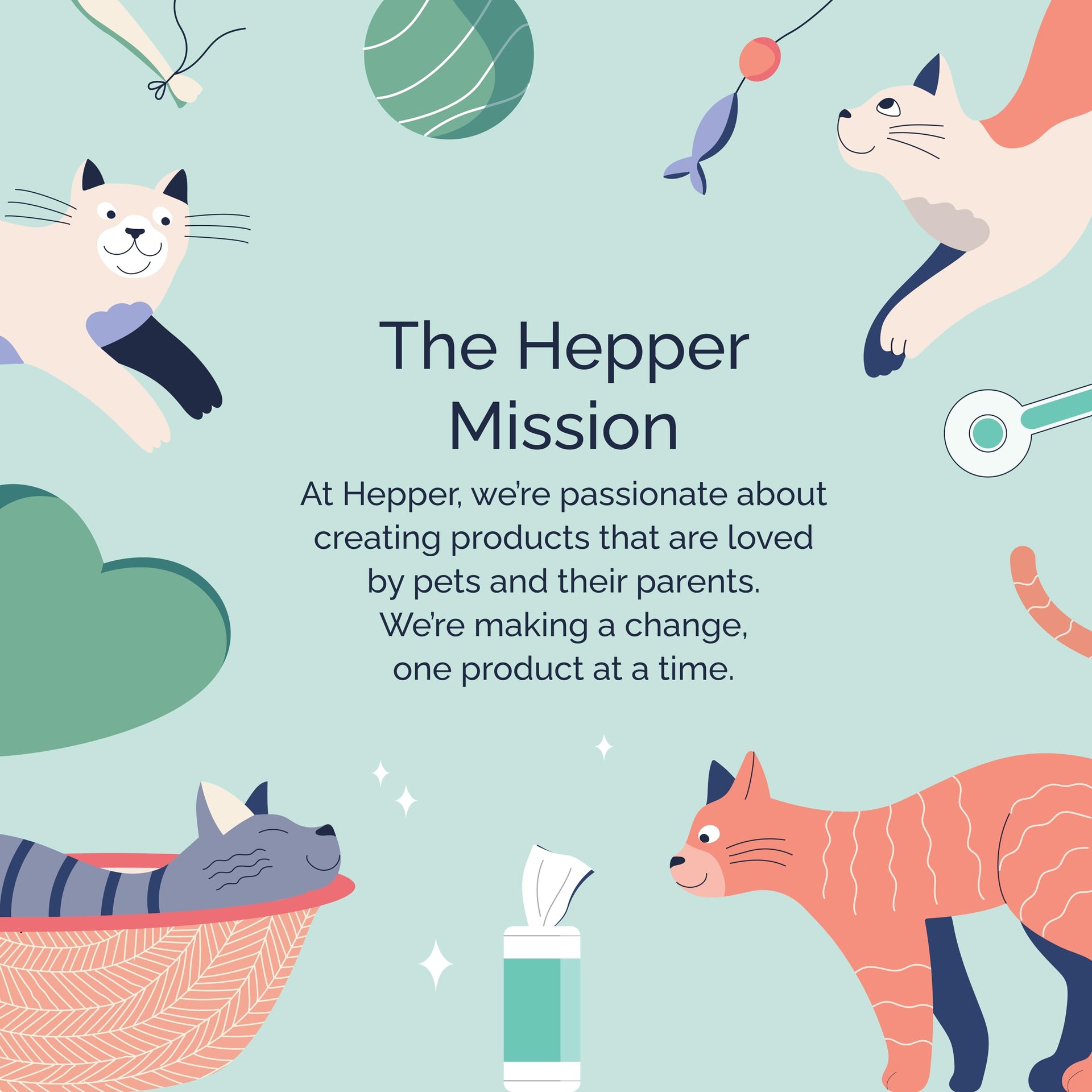 Pet Wash Wipes