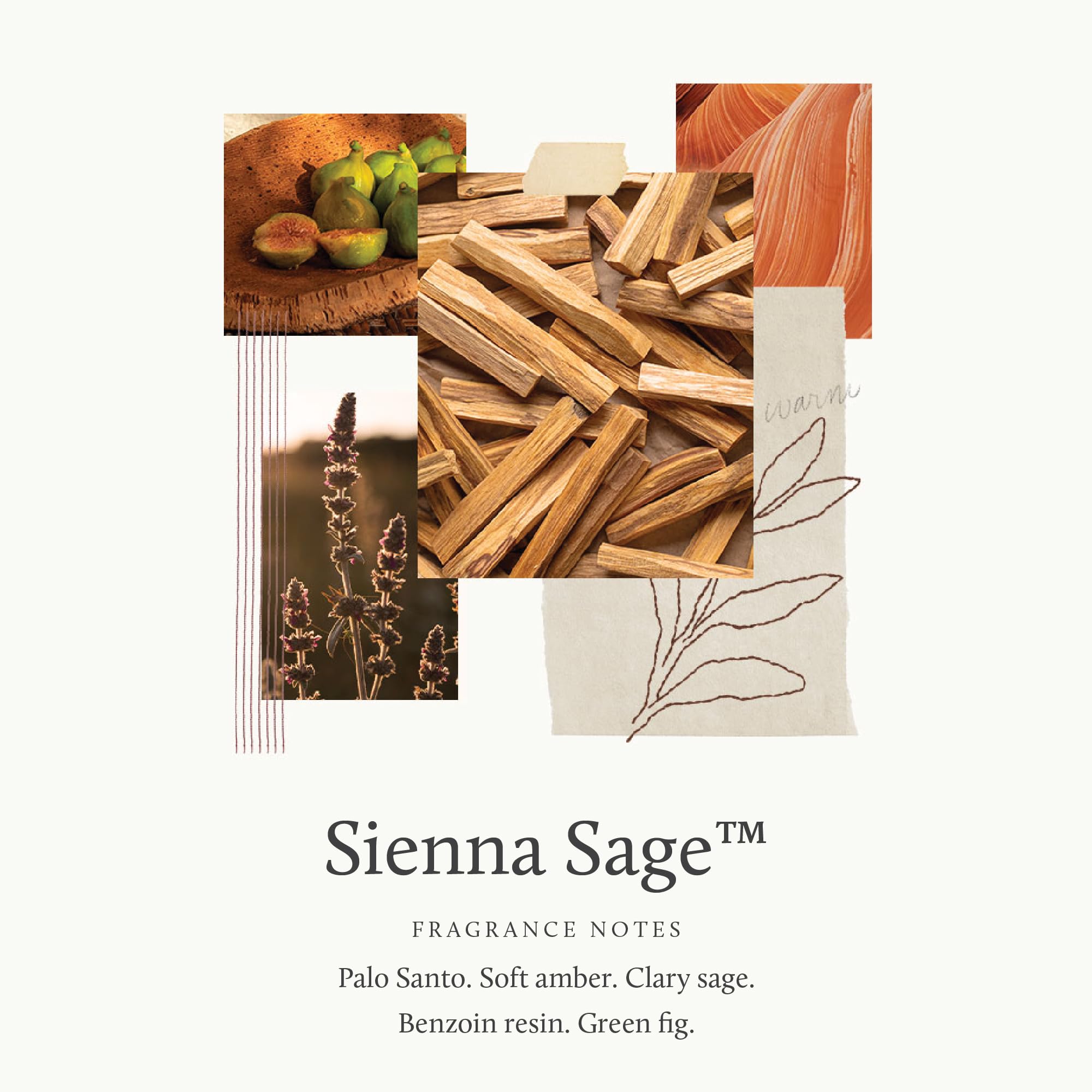 Sienna Sage Diffuser Oil Refill (7.75 Fl Oz)