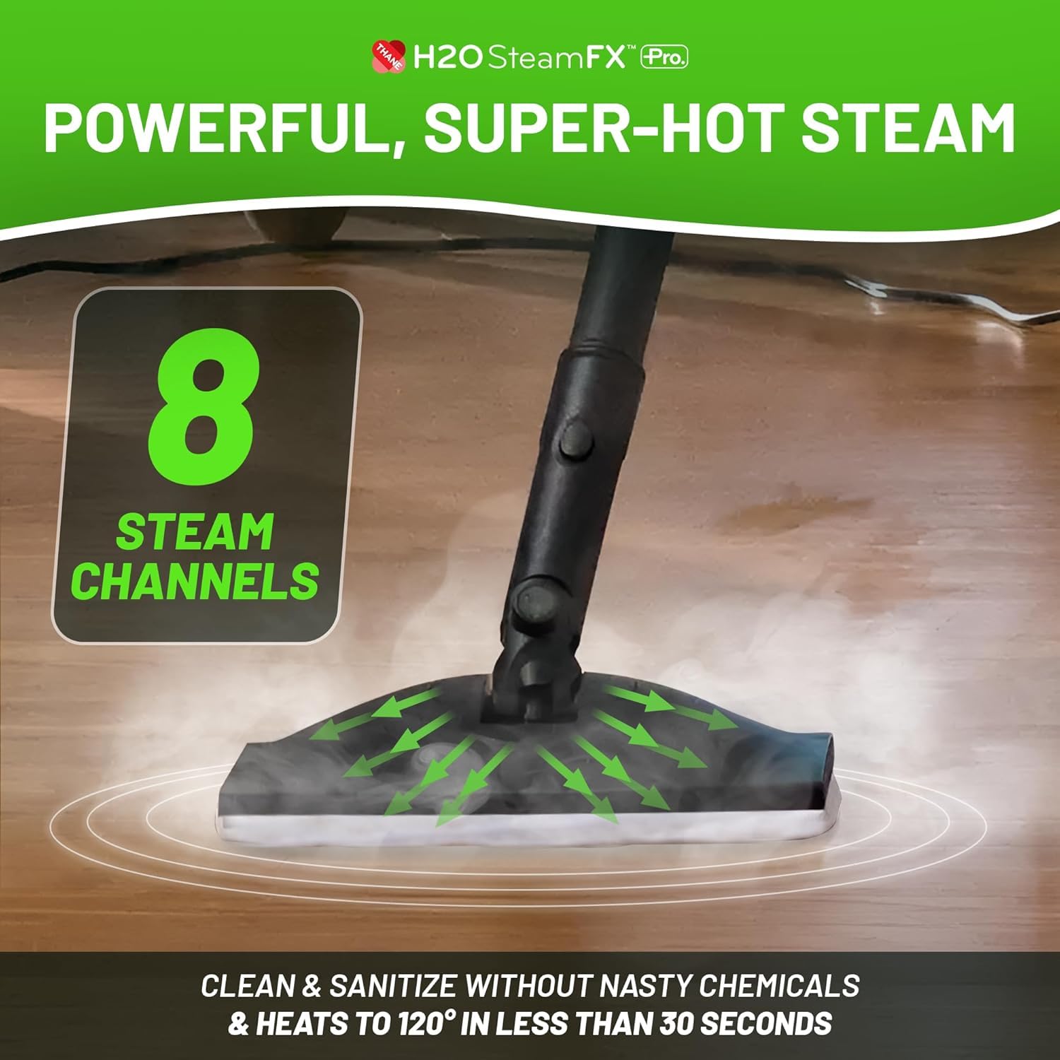 Steam FX Pro Handheld Steam Cleaner