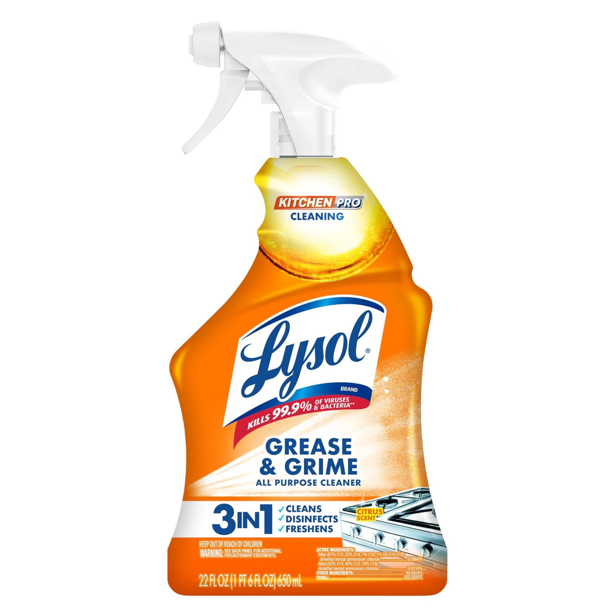 Pro Kitchen Spray Cleaner and Degreaser (22 Ounce)