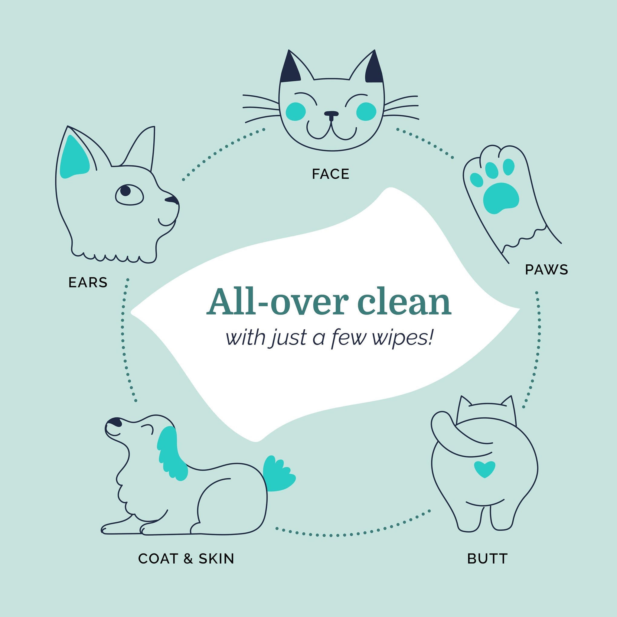 Pet Wash Wipes