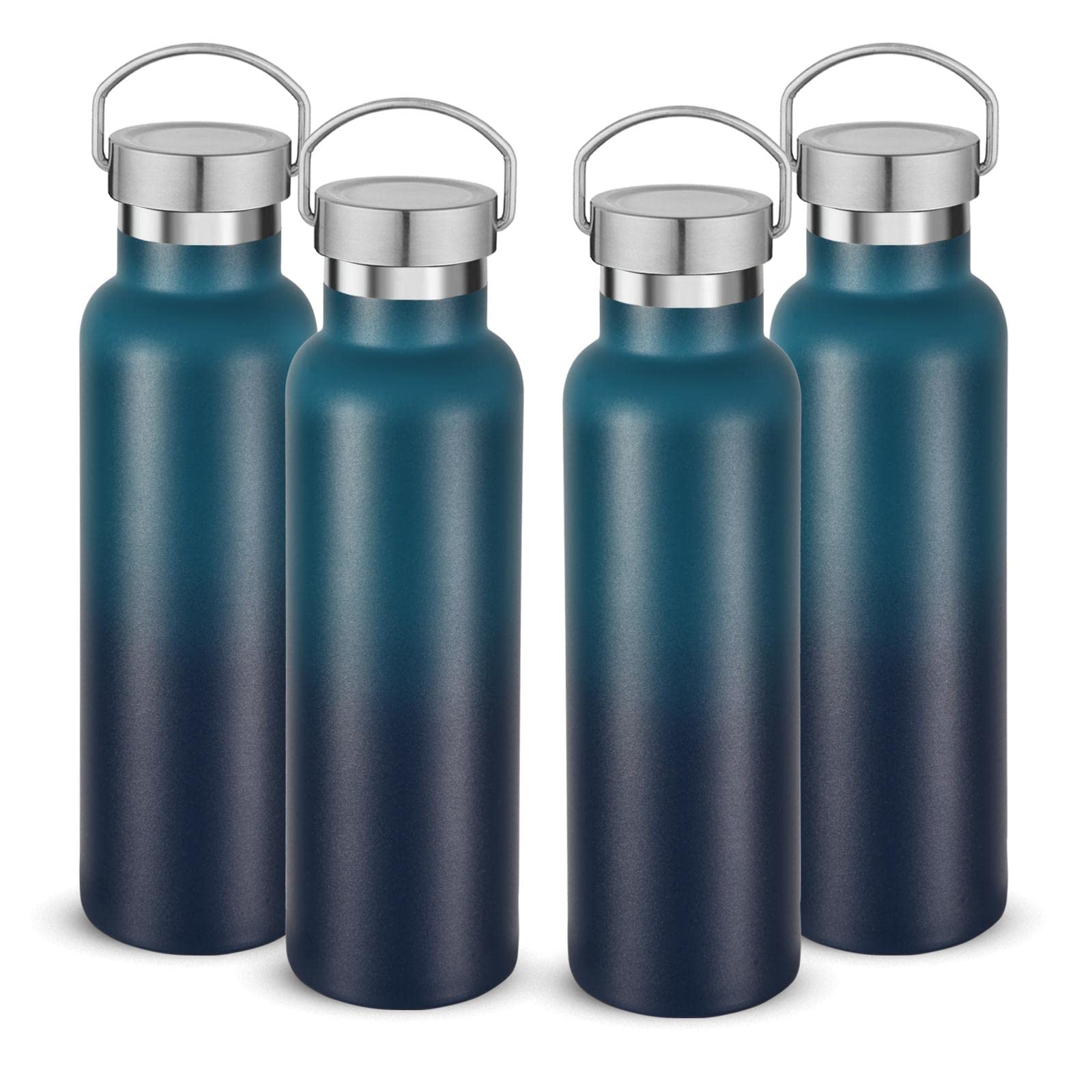 20 oz Insulated Water Bottles Bulk 4 Pack (4 Count)