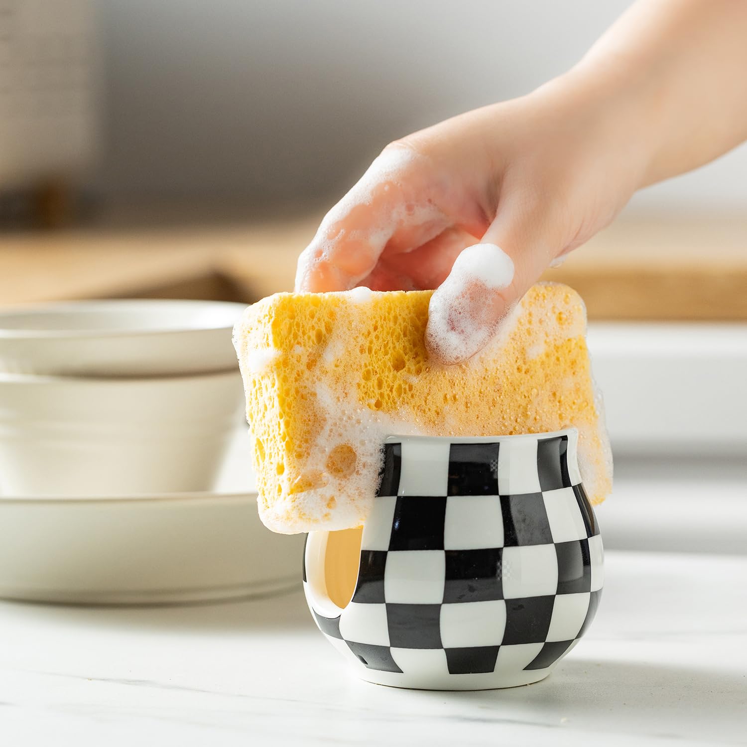 Sponge Holder for Kitchen Sink
