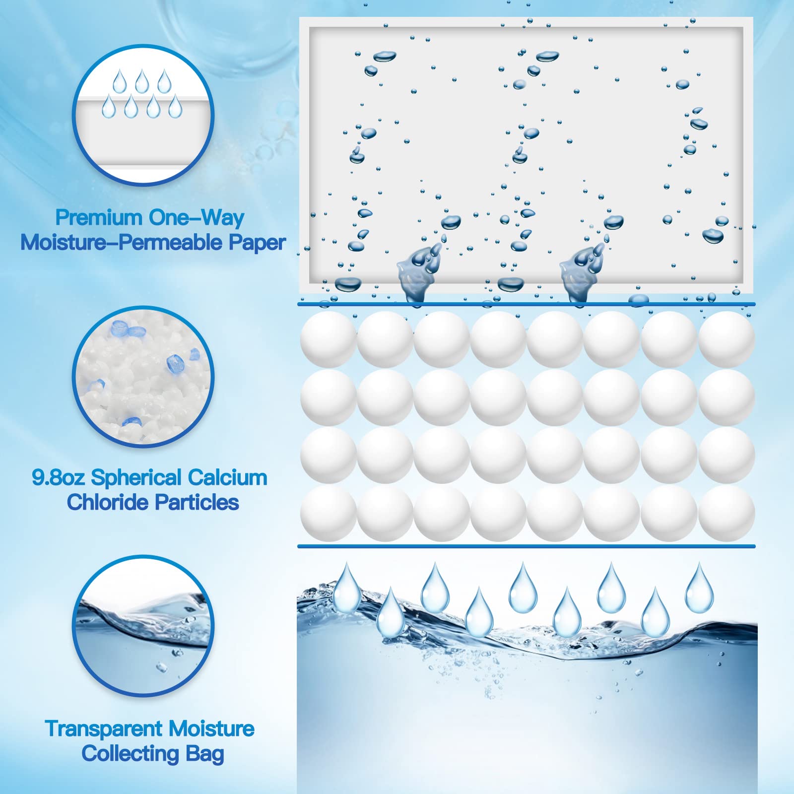 Moisture Absorber (10 Count)