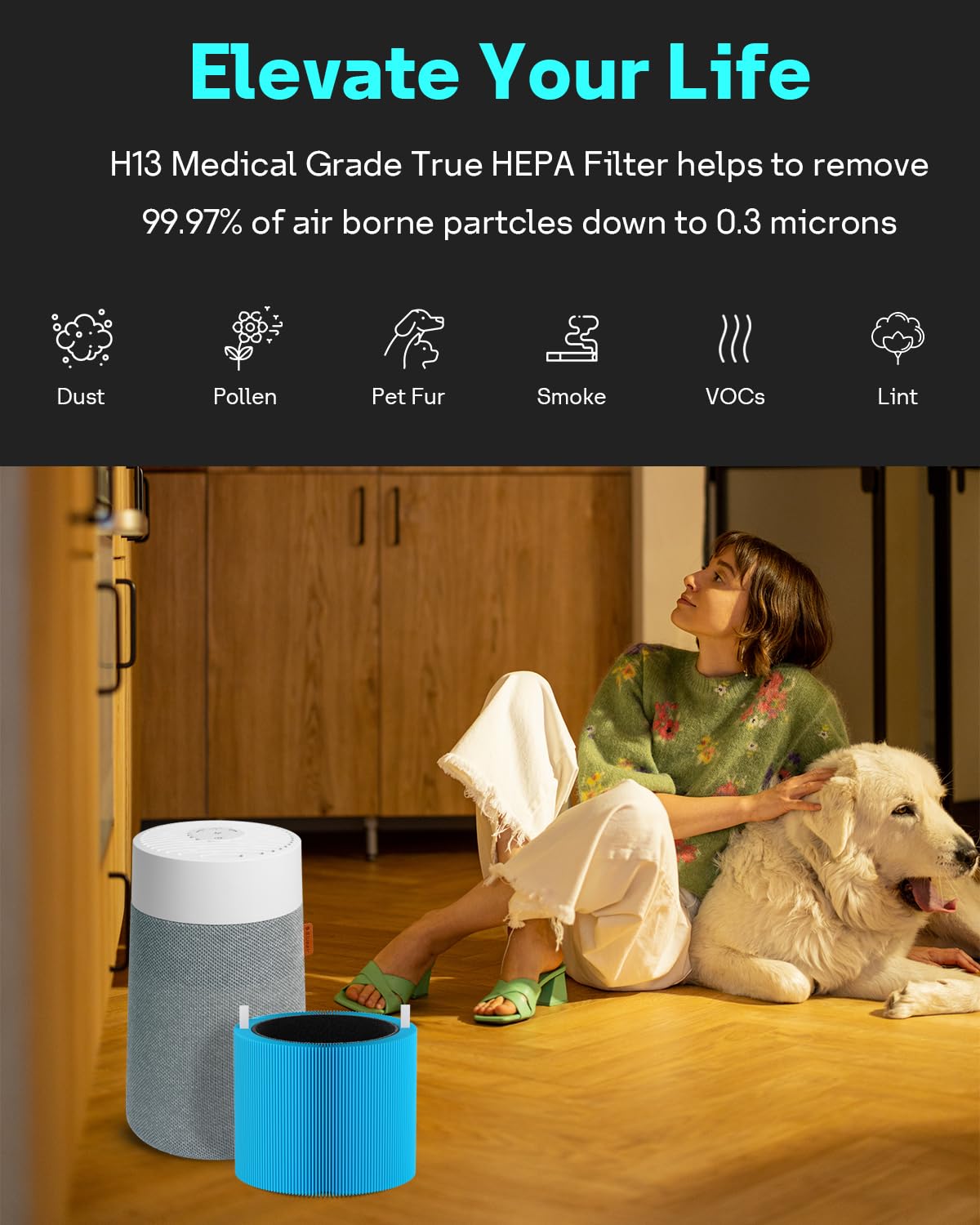 2 Pack Mini Max AllergenBlock Filter Compatible with Blueair Mini