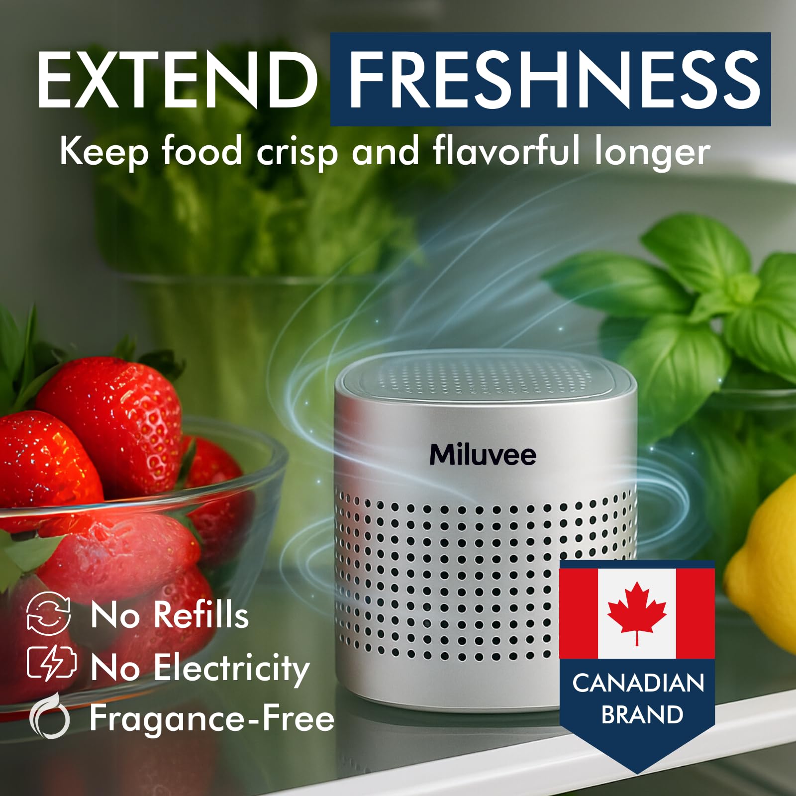 Premium Refrigerator Deodorizer