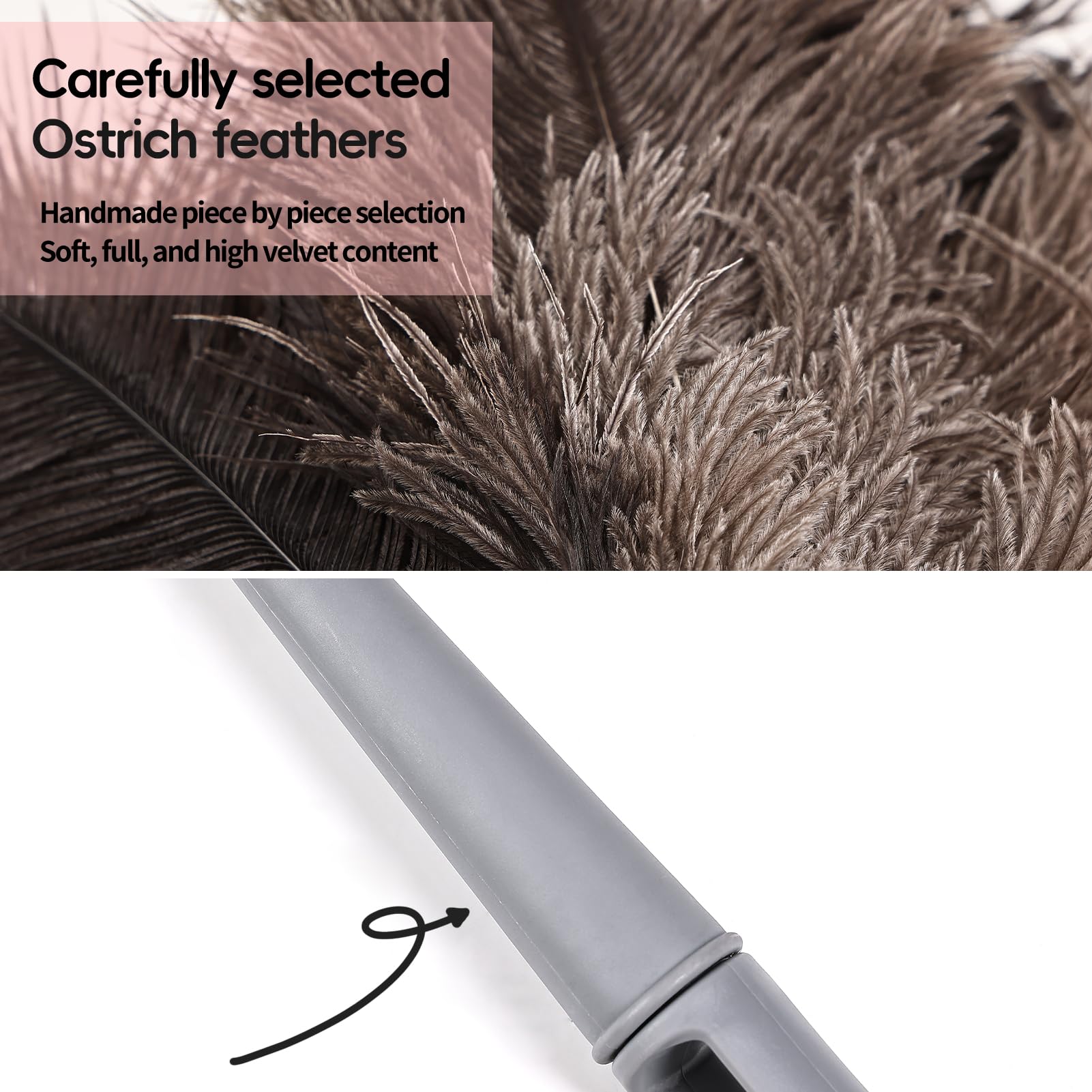 Feather Duster