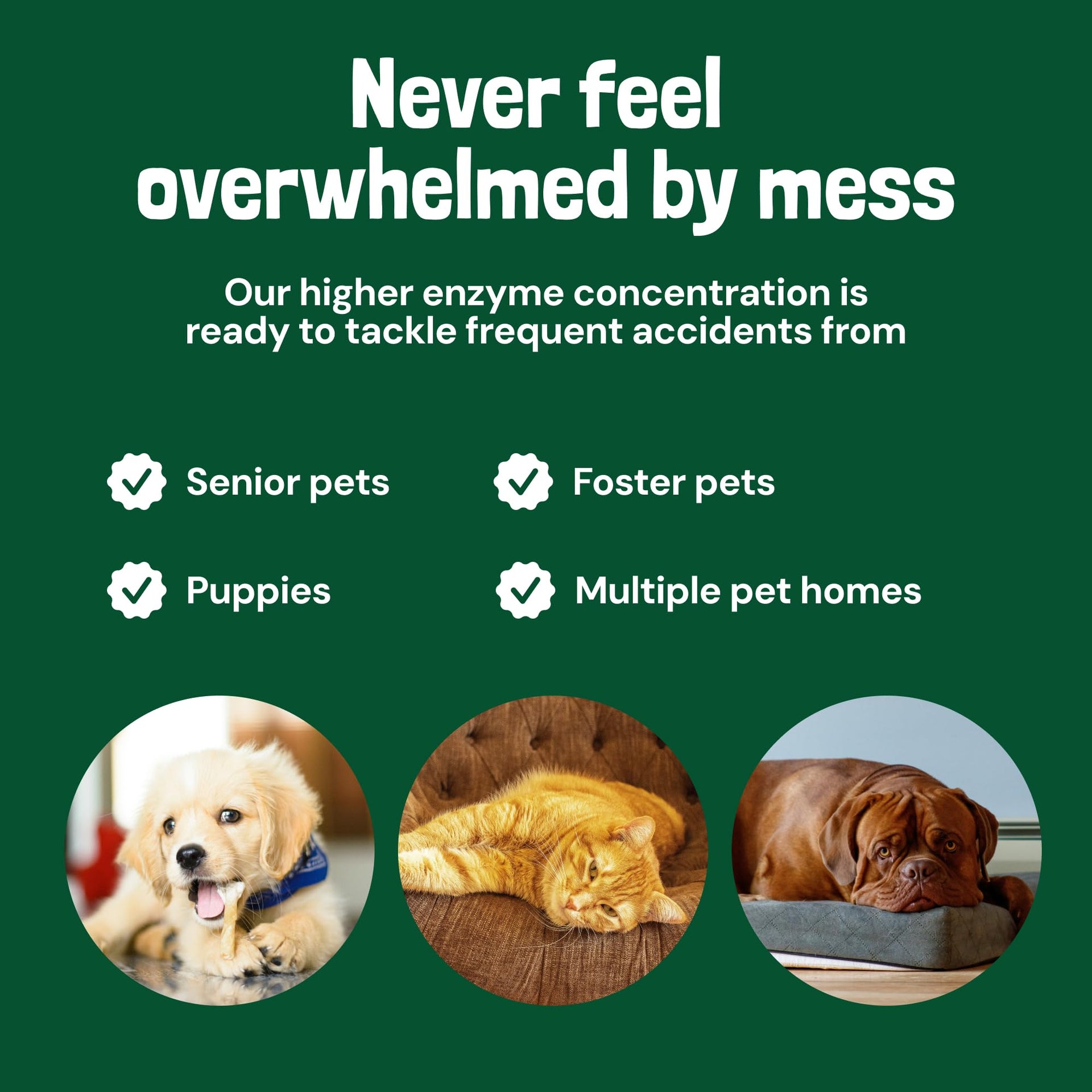 Turbo Pet Stain and Odor Remover for Carpets (32 Fl Oz)