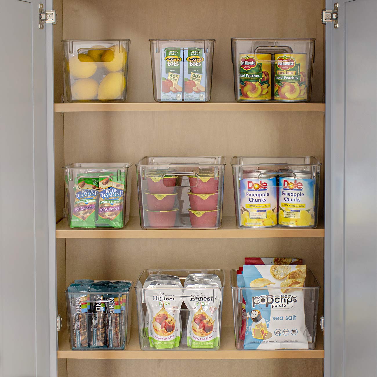 4 Pack Medium Clear Plastic Storage Bins
