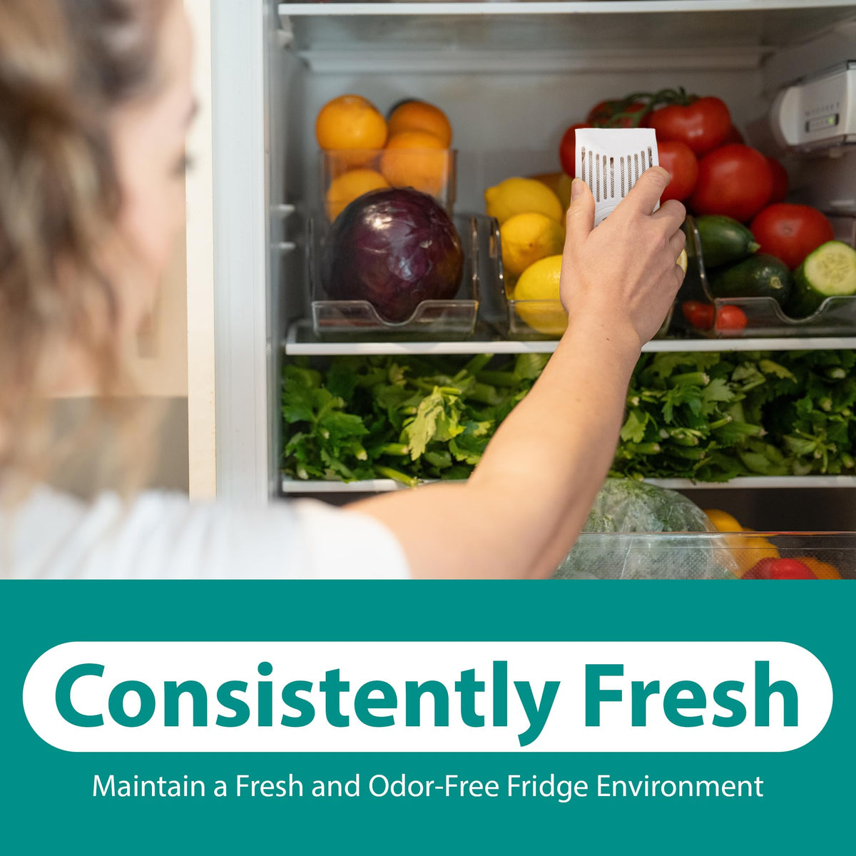 Refrigerator Deodorizer with Zeolites (4 Count)