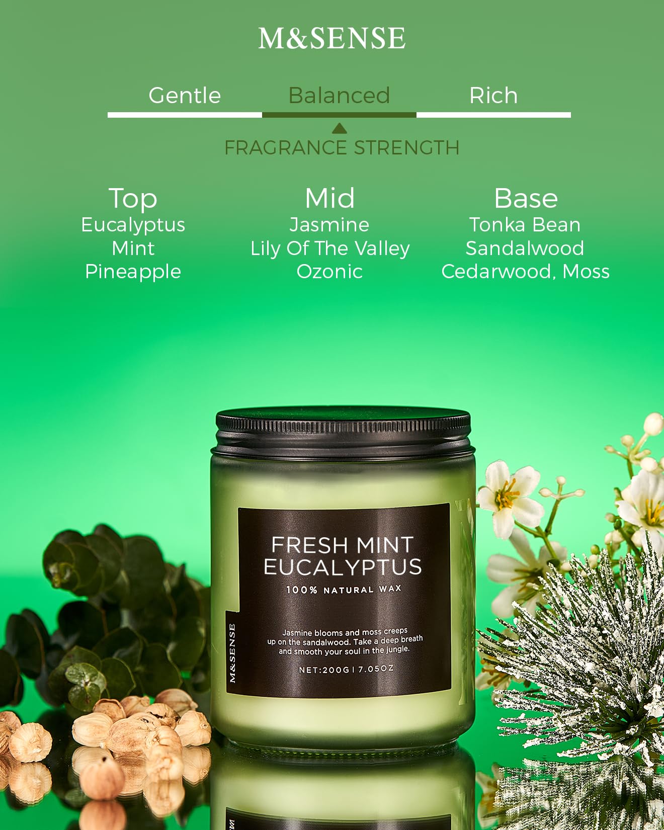 Eucalyptus & Mint Candles for Home Scented (6 Ounce)