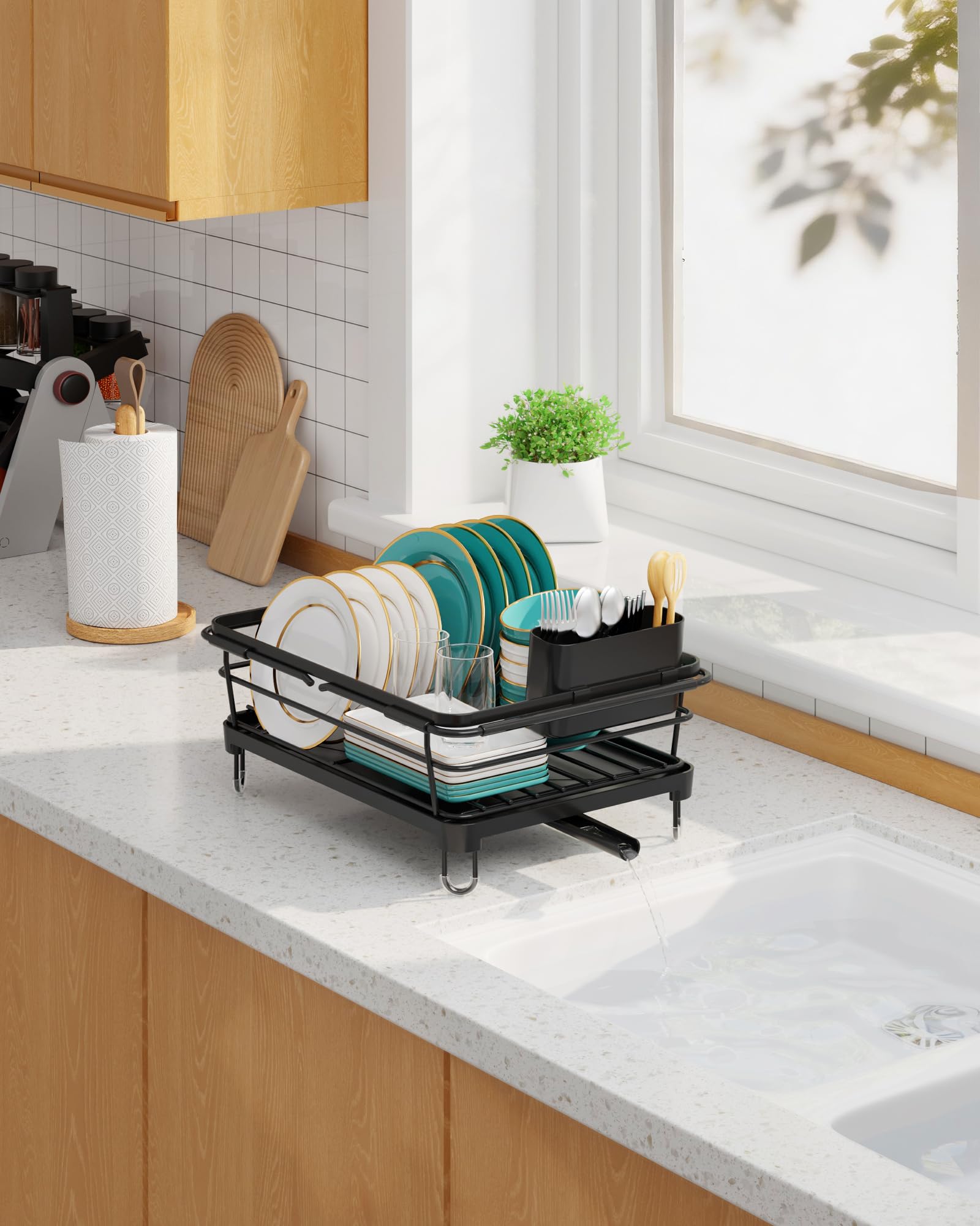 Dish Drying Rack in Sink