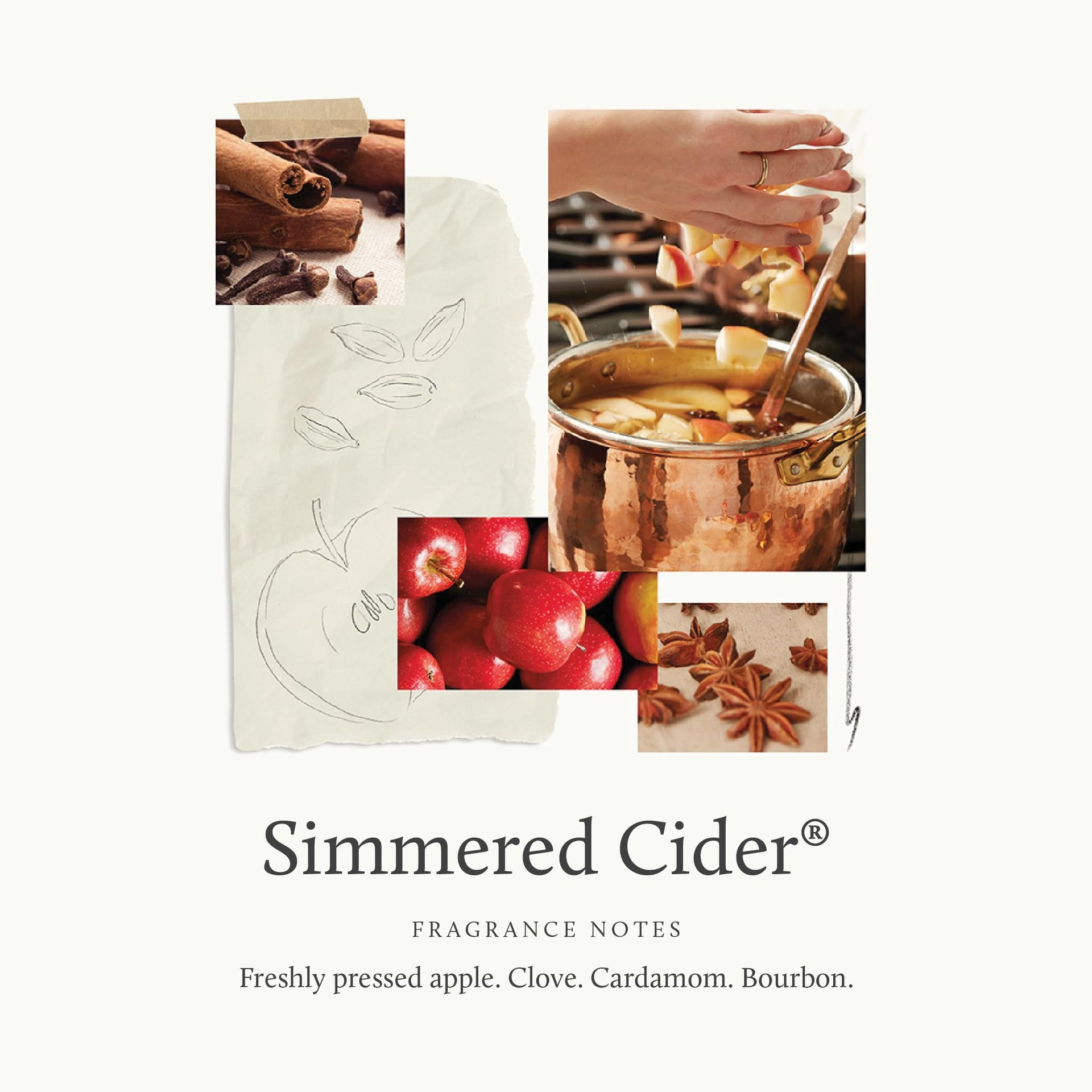 Simmered Cider Reed Diffuser Oil Refill (7.75 Fl Oz)