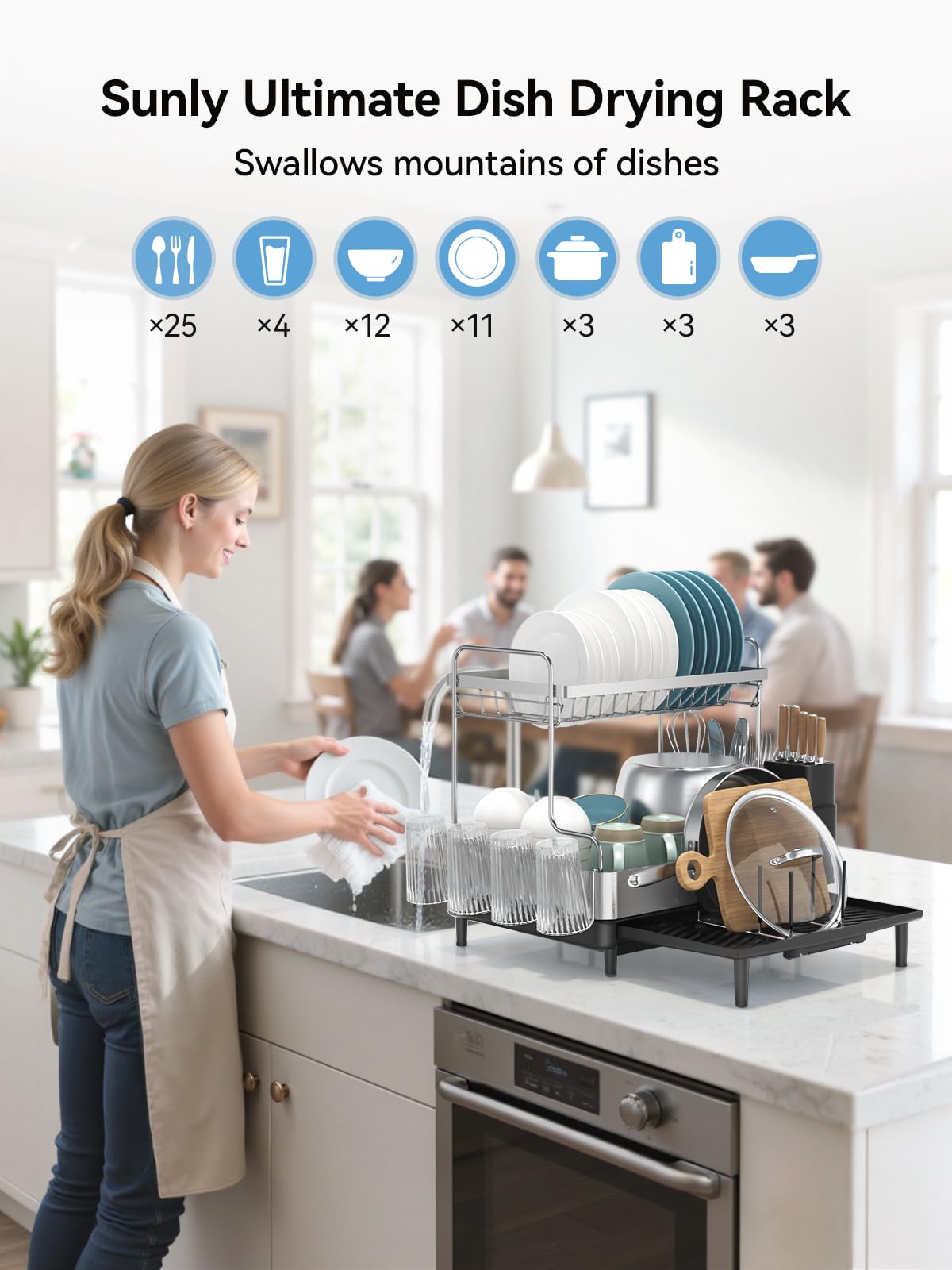 2 Tier Dish Drying Rack