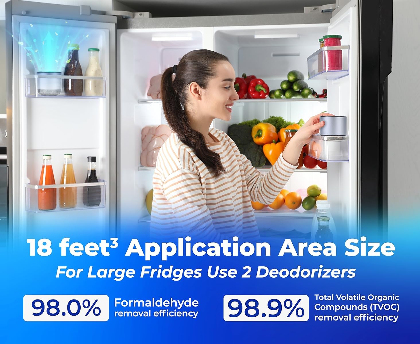 Refrigerator Deodorizer (2 Count)