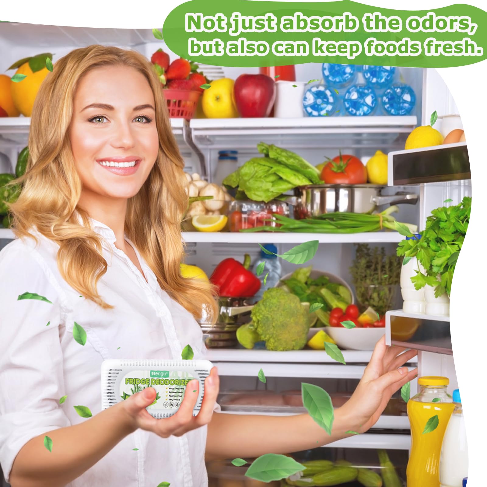 Fridge Deodorizer (13 Ounce)