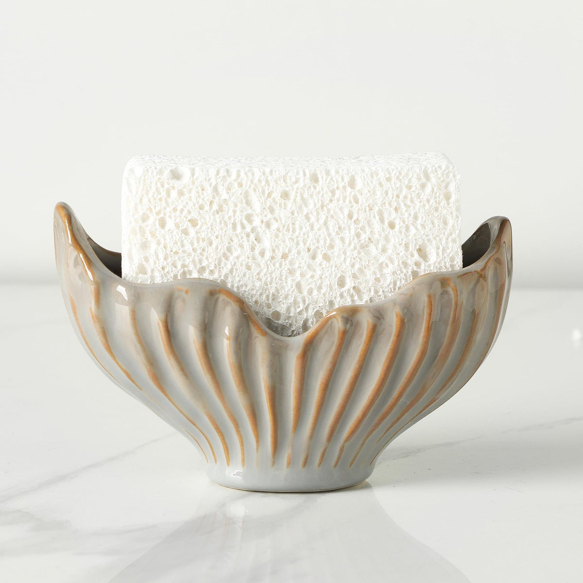 Sponge Holder for Kitchen Sink