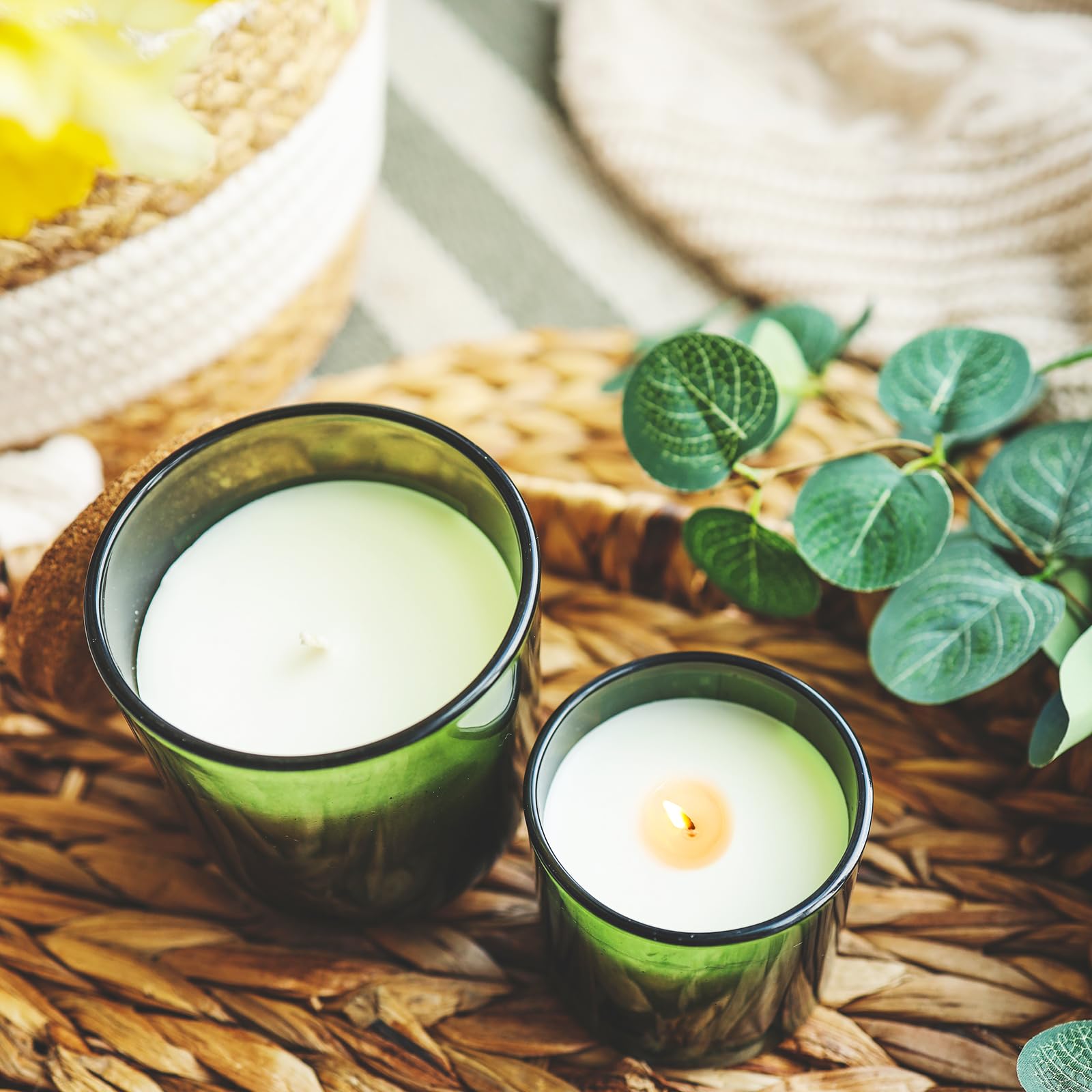Thick Candle Jars for Making Candles 12 Pcs (12 Count)