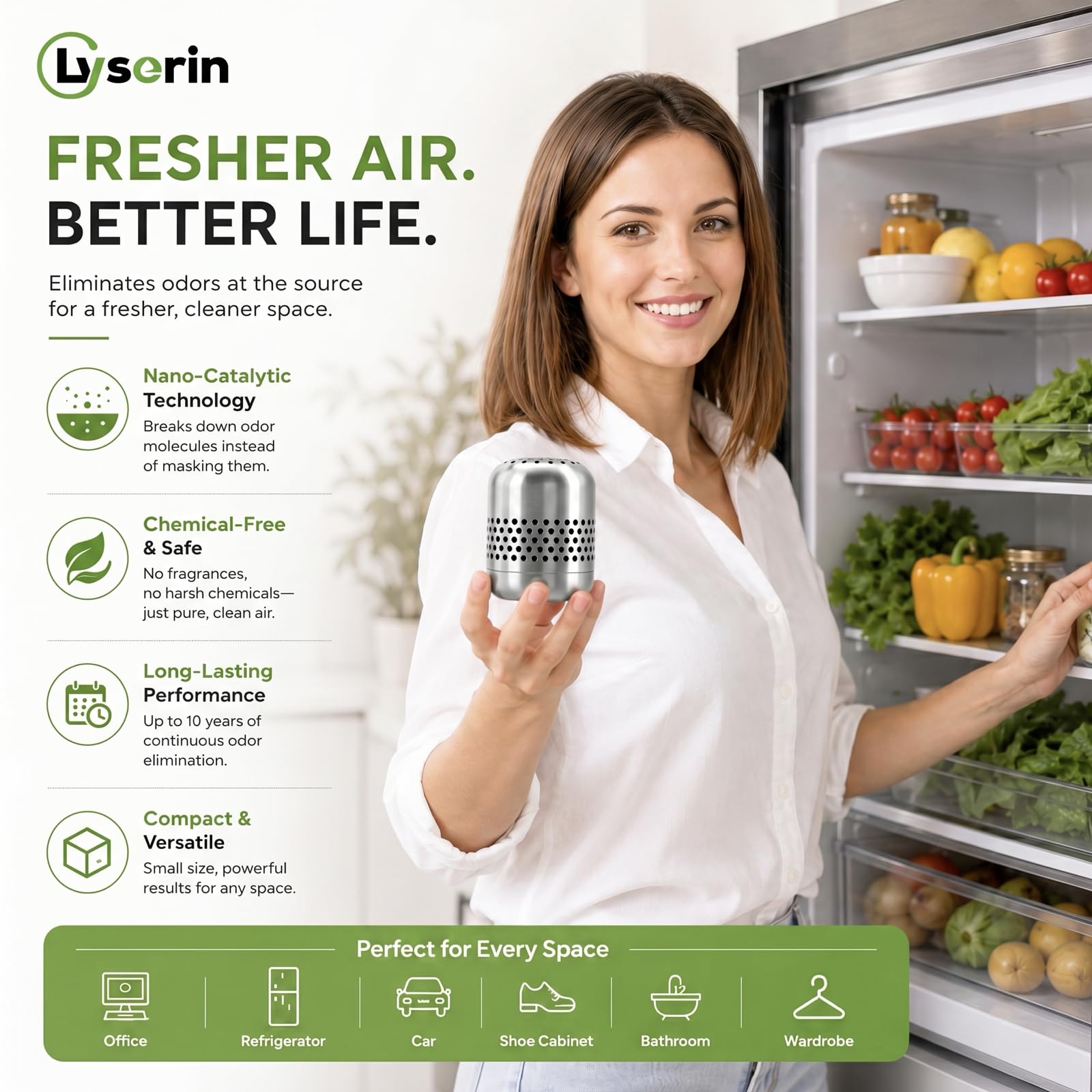 Refrigerator Deodorizer