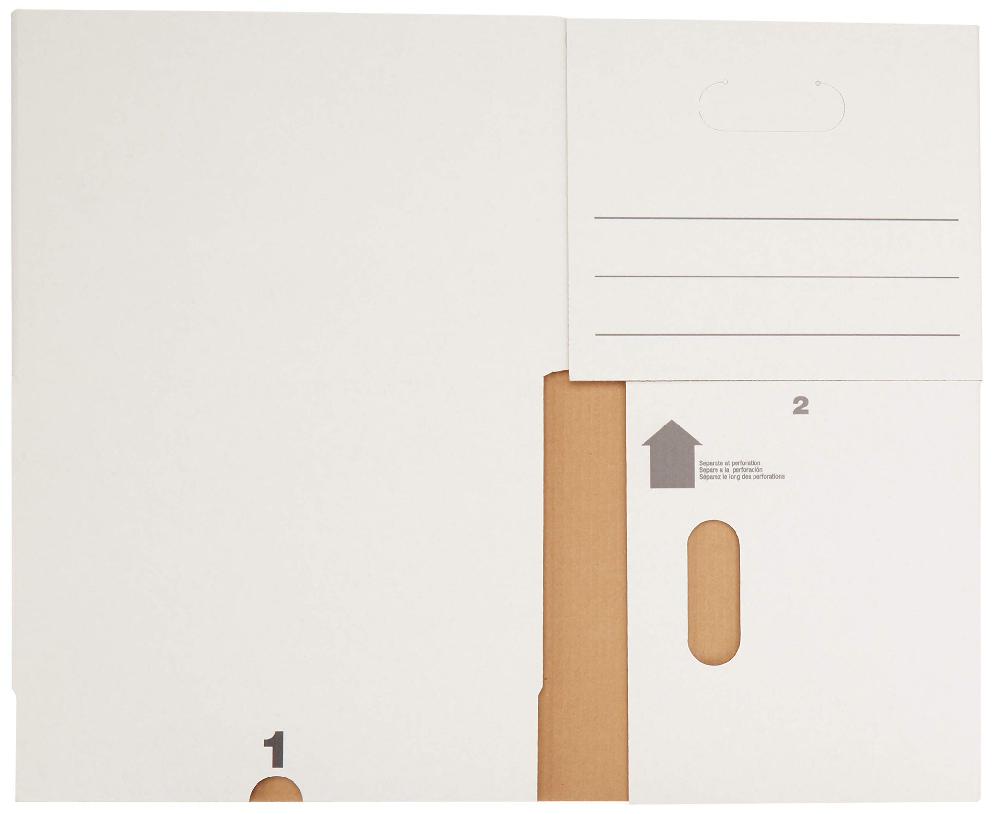Storage Filing Boxes with Lift (20 Count)