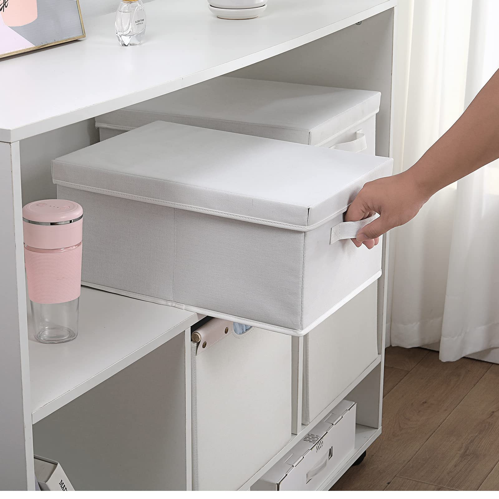 Storage Bins with Lids for Organizing (2 Count)