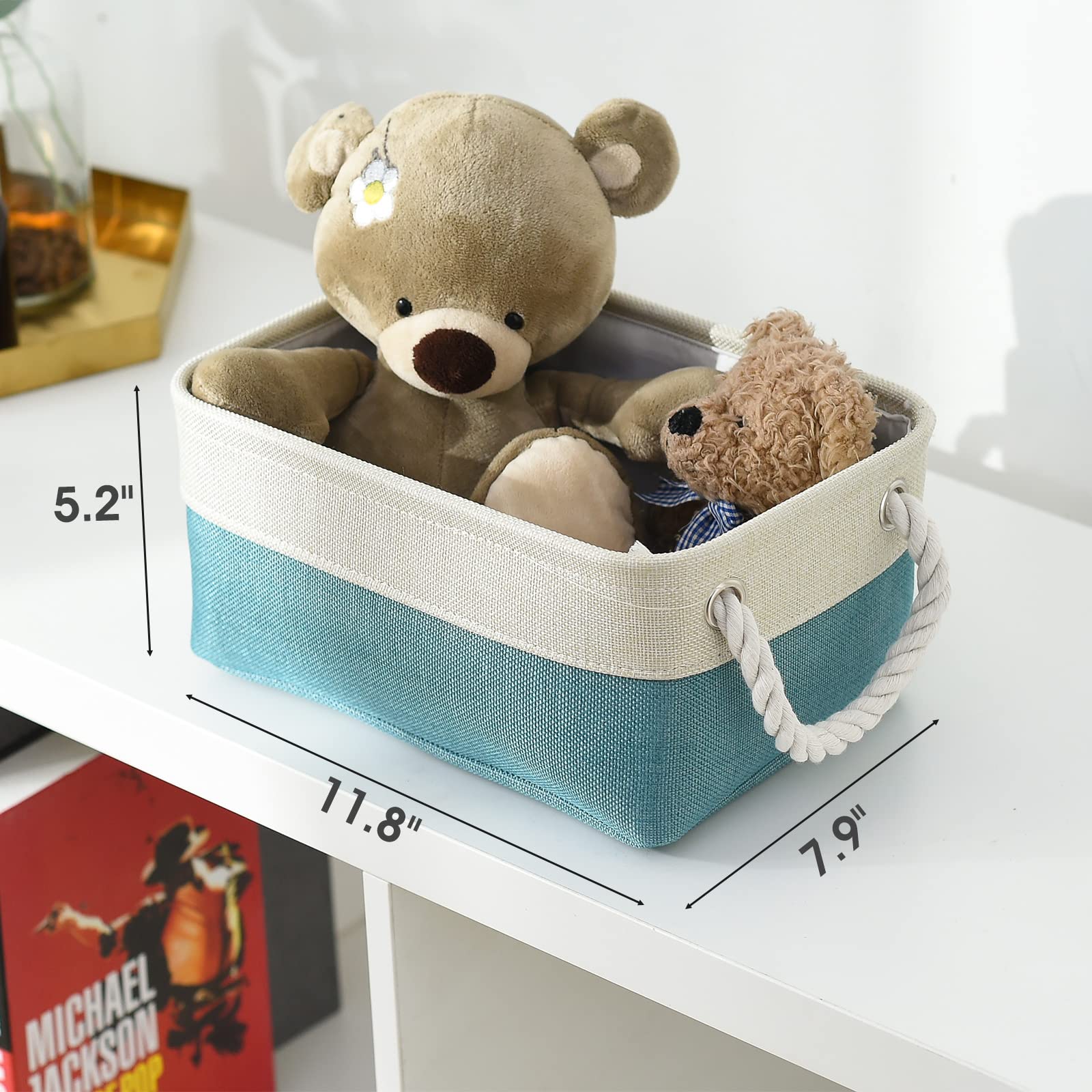 Storage Bins for Shelves (6 Count)