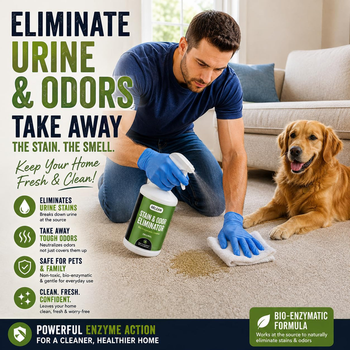 Strong Stain & Odor Eliminator (128 Fl Oz)