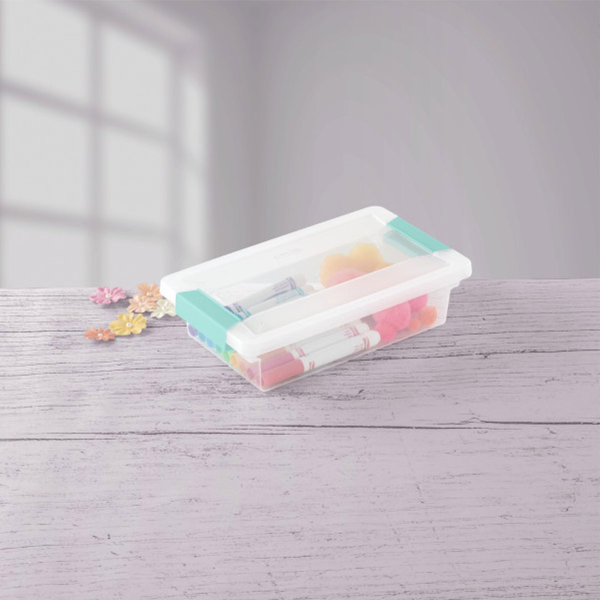 Small Clip Box (6 Count)