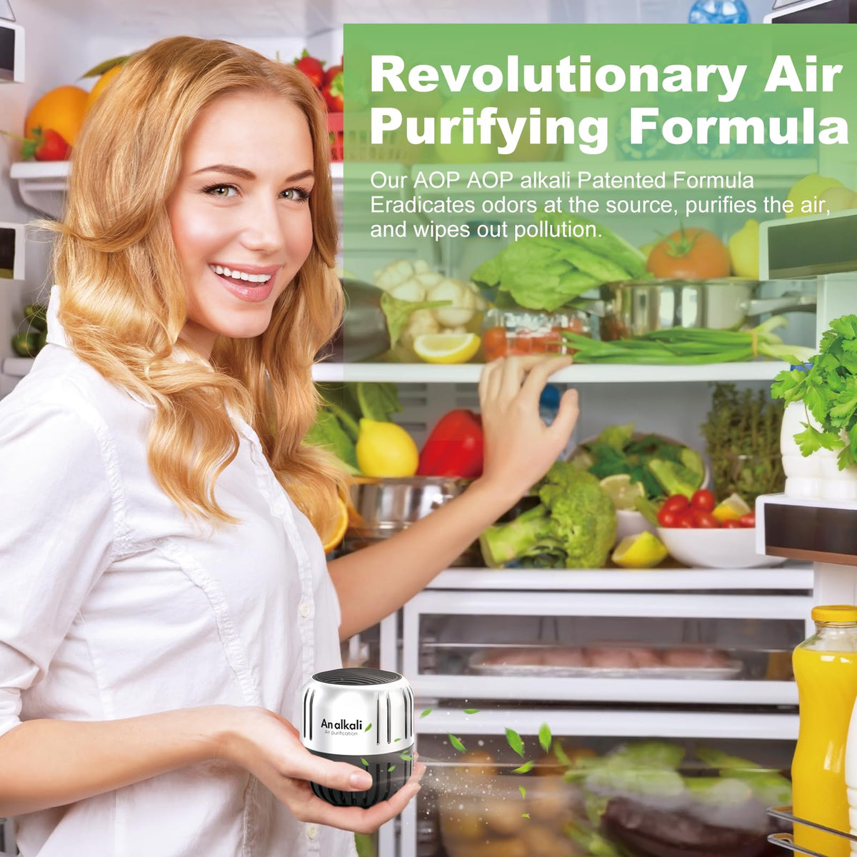 Fridge Deodorizer